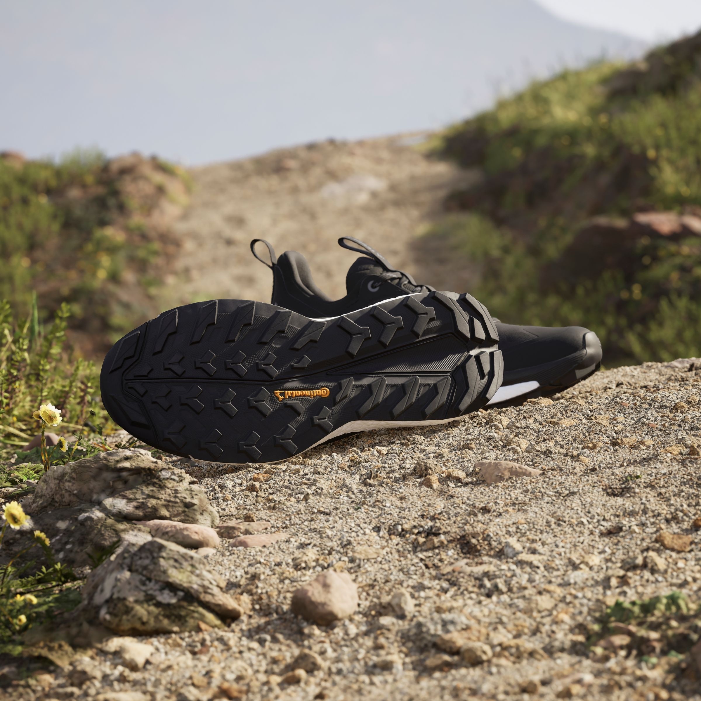 adidas TERREX Wanderschuh »TERREX FREE HIKER 2.0 LOW«