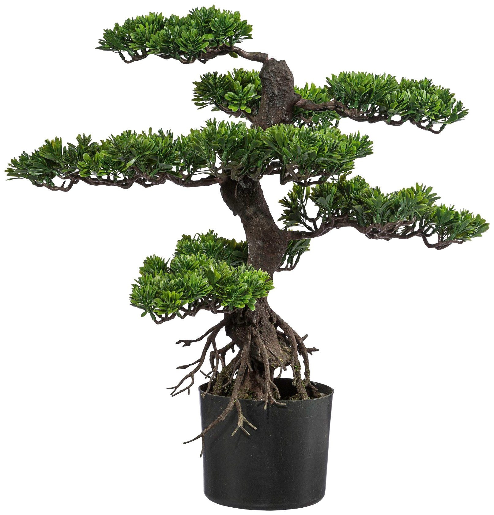 Creativ green Kunstbonsai »Bonsai«