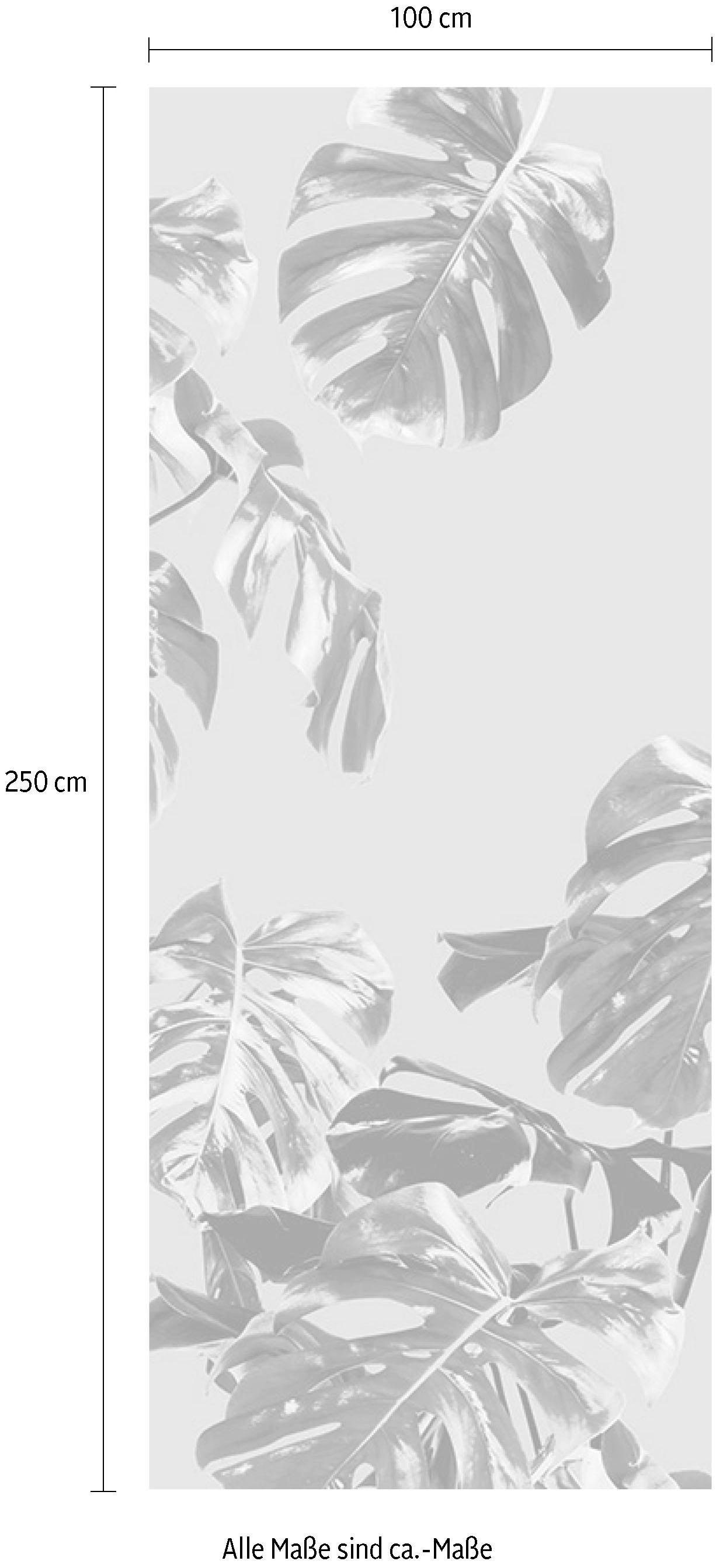 Komar Vliestapete »Digitaldruck Vlies -  Monstera Rosé Panel - Grösse 100 x 250 cm« bedruckt glatt Wohnzimmer, Schlafzimmer