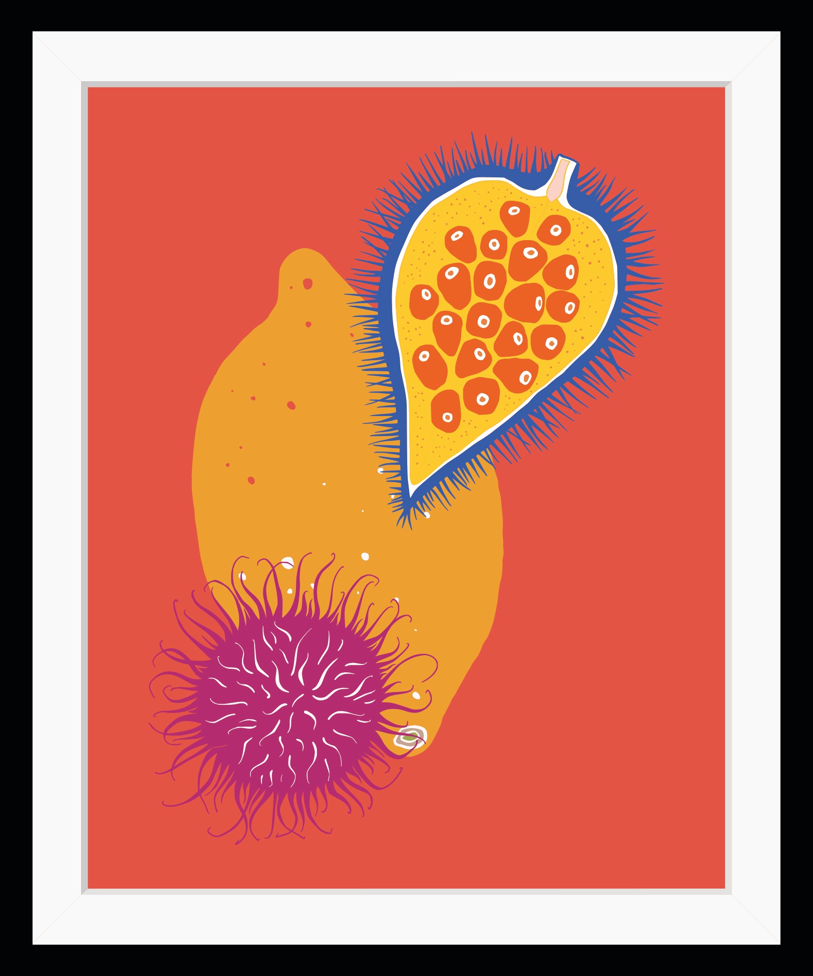 Image of queence Bild "Daria" Kunst Lebensmittel Obst Obst Bilder HD Premium Poster-Druck inkl. Holzrahmen