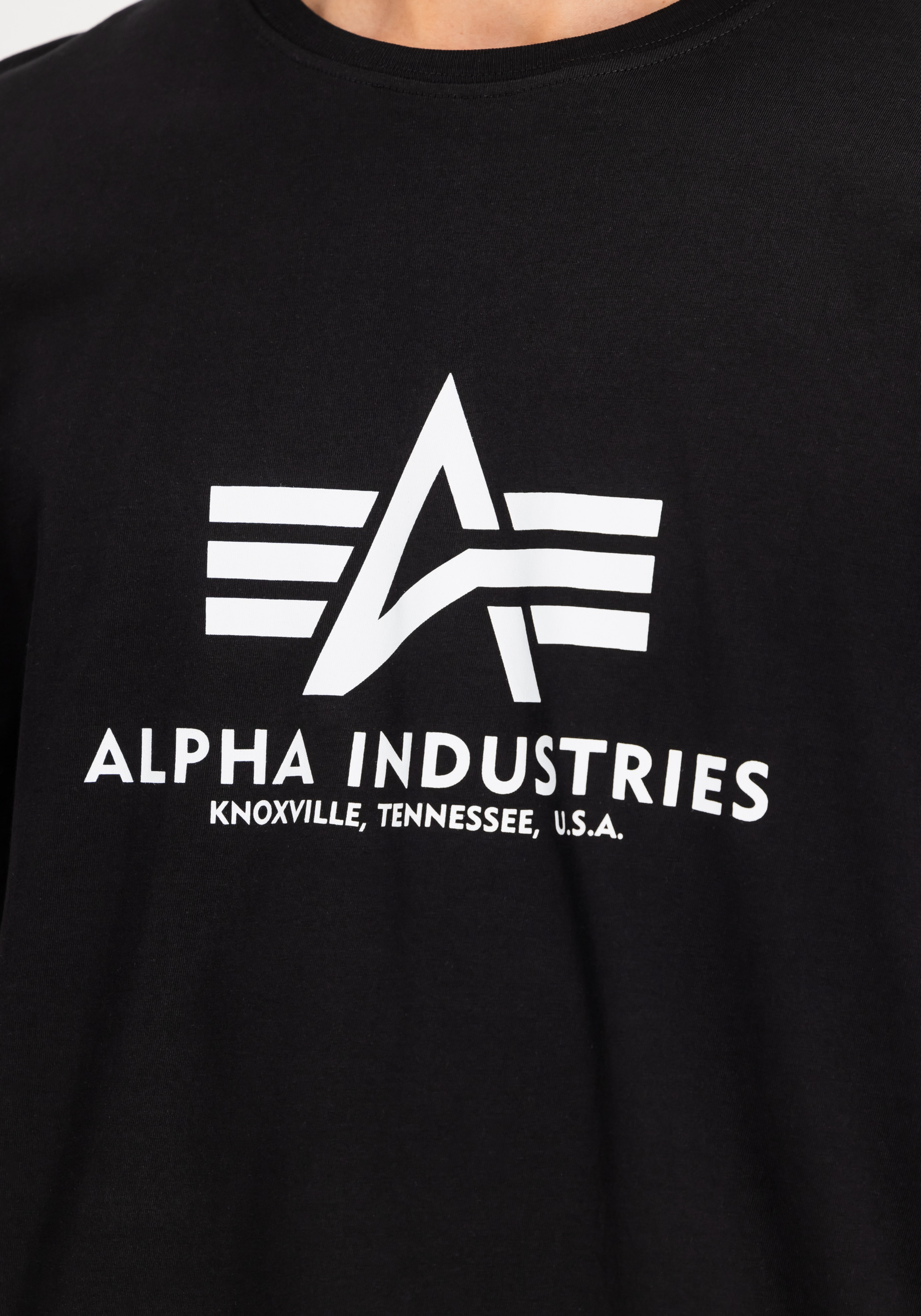Alpha Industries T-Shirt »Alpha Industries Men - T-Shirts Basic T-Shirt BL 2 Pack«