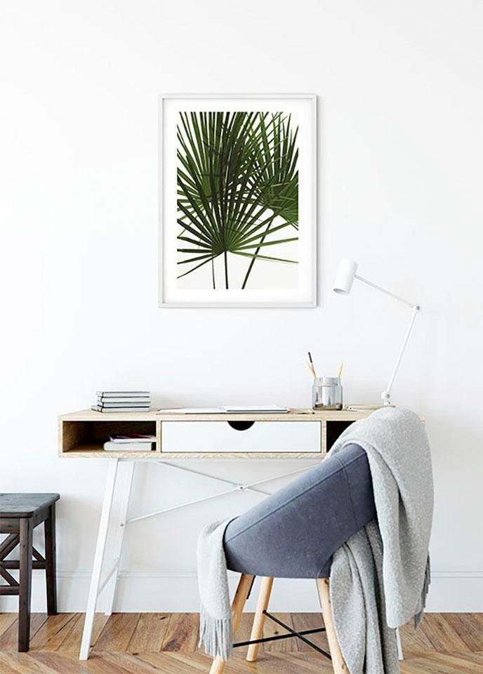 Komar Bild »Palmtree Leaves« Pflanzen 1 Stk. tlg. Wandbild zur Dekoration - ohne Rahmen
