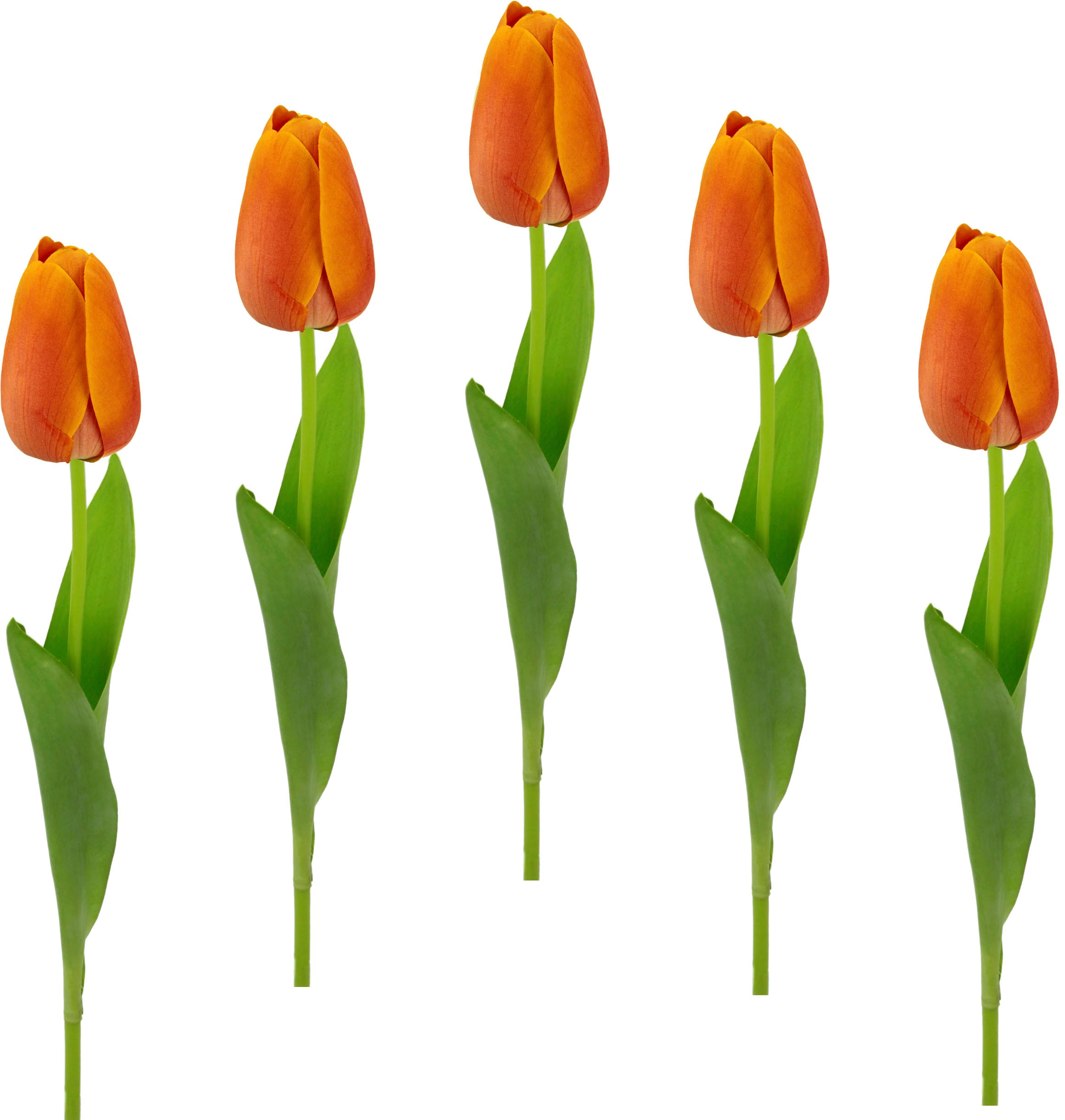 Kunstblumen, Stielblume Tulpenknospen, Touch Kunstblume 5er jetzt Tulpen«, I.GE.A. »Real Set künstliche kaufen
