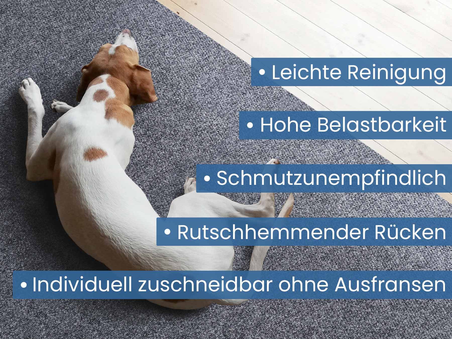 Primaflor-Ideen in Textil Läufer »Schmutzfangläufer PICOLLO, Made in Belgium«, rechteckig, 8 mm Höhe, Schmutzfangmatte, meliert, strapazierfähig, rutschhemmend