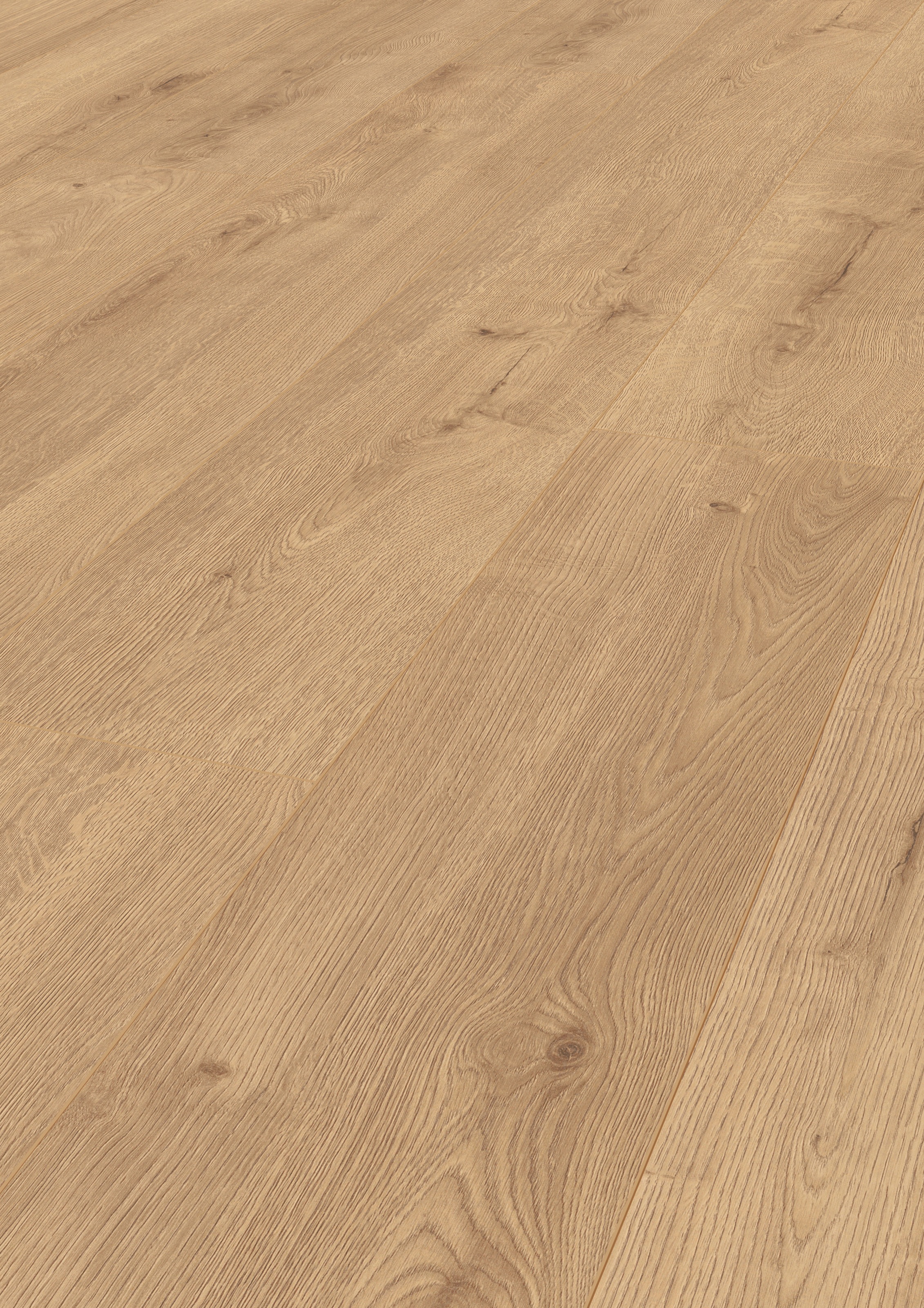 Image of ter Hürne Laminat »Eiche cremebeige«, mit fühlbarer Oberfläche und Klicksystem bei Ackermann Versand Schweiz