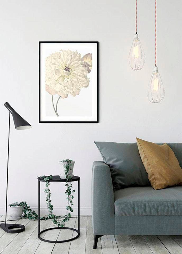 Komar Image »Illustration Dahlia« 1 cuis tlg. Wandbild zur Dekoration - ohne Rahmen