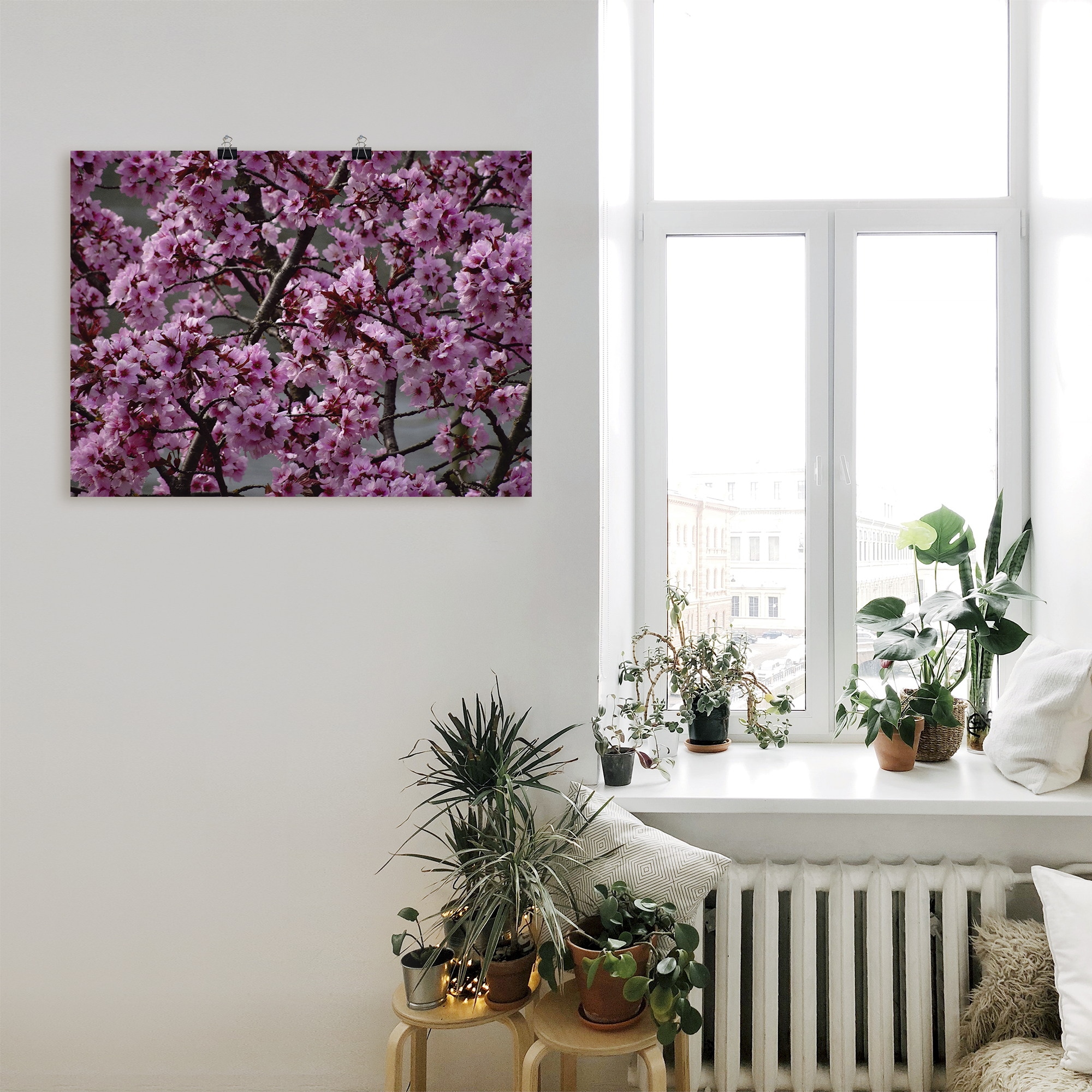 Artland Wandbild »Japanische Zierkirschen Blüte«, Bäume, (1 St.), als Leinwandbild, Poster in verschied. Grössen