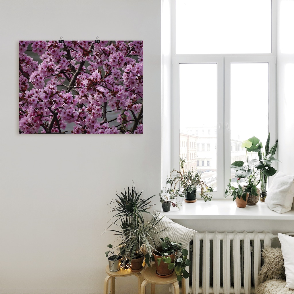 Artland Wandbild »Japanische Zierkirschen Blüte«, Bäume, (1 St.)