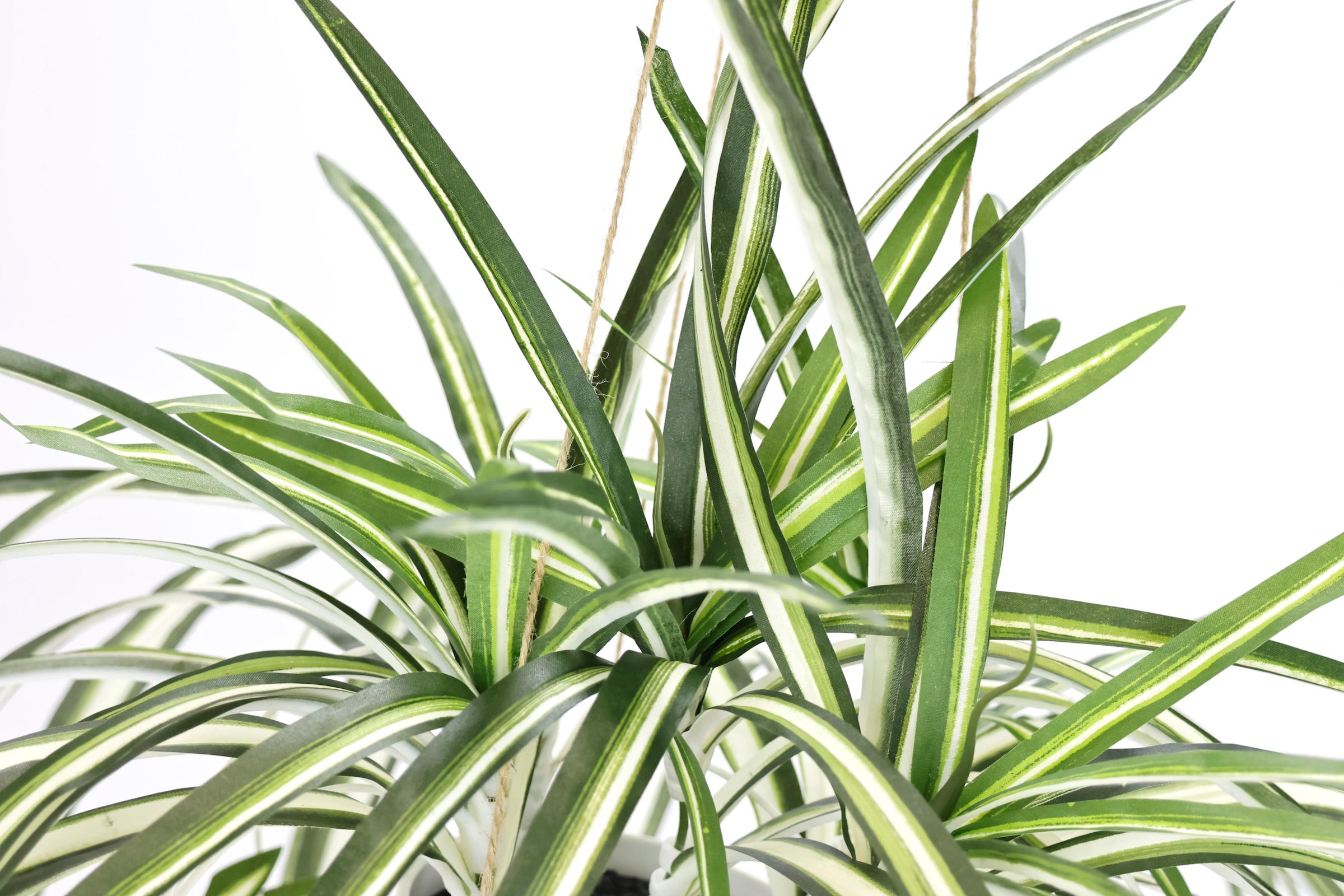 my home Kunstpflanze »Grünlilie«, günstig Mit Hängeampe, kaufen Wasserlilie künstliche