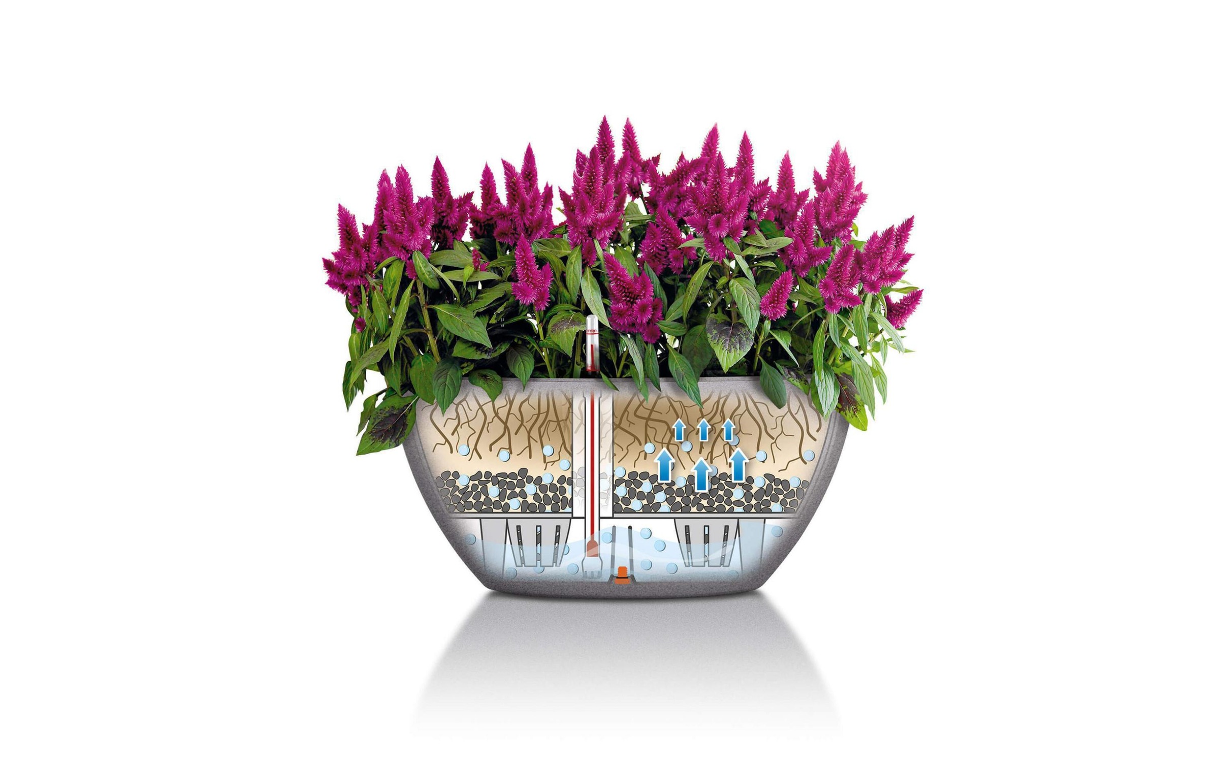   Pot de fleurs »Lechuza Cubeto Color 30 Beige«