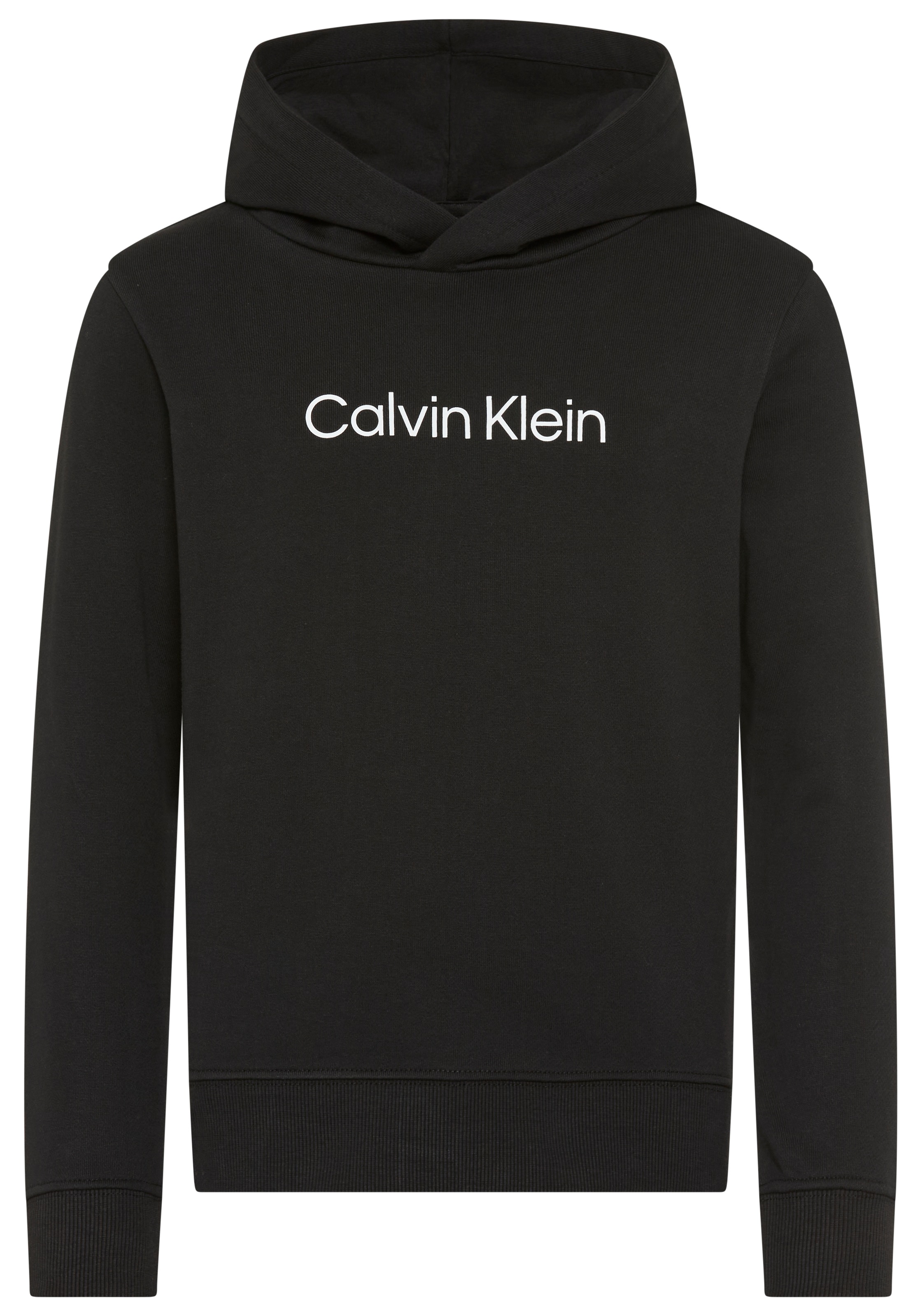 Image of Calvin Klein Jeans Kapuzensweatshirt "LOGO REGULAR TERRY HOODIE", Regular fit, Logoschriftzug