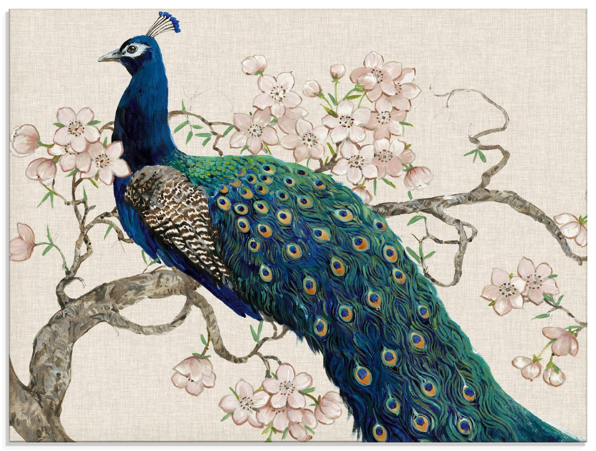 Image of Artland Glasbild »Pfau & Blüten II«, Vögel, (1 St.) bei Ackermann Versand Schweiz