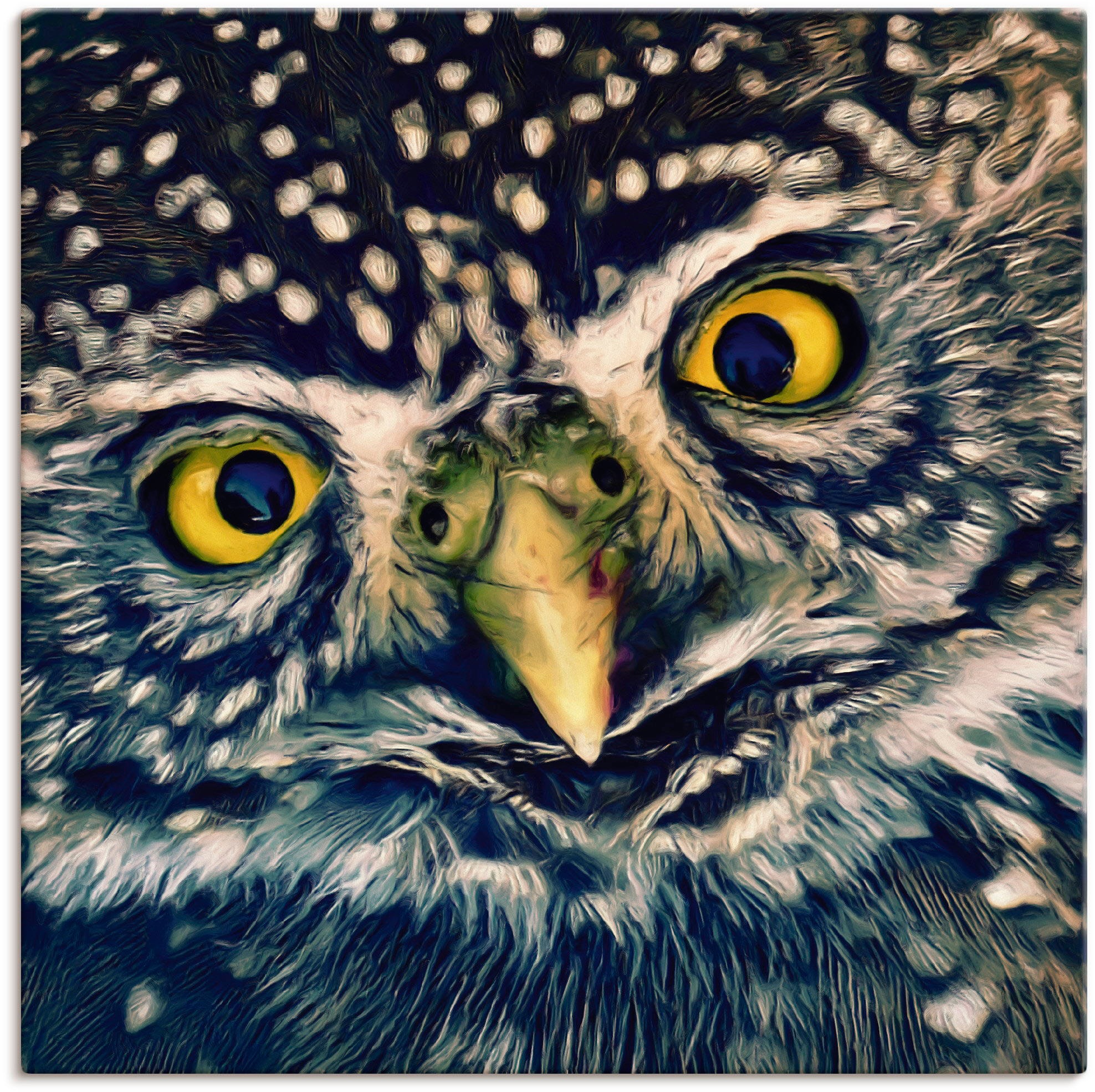 Image of Artland Wandbild »Eule«, Vögel, (1 St.), in vielen Grössen & Produktarten -Leinwandbild, Poster, Wandaufkleber / Wandtattoo auch für Badezimmer geeignet bei Ackermann Versand Schweiz