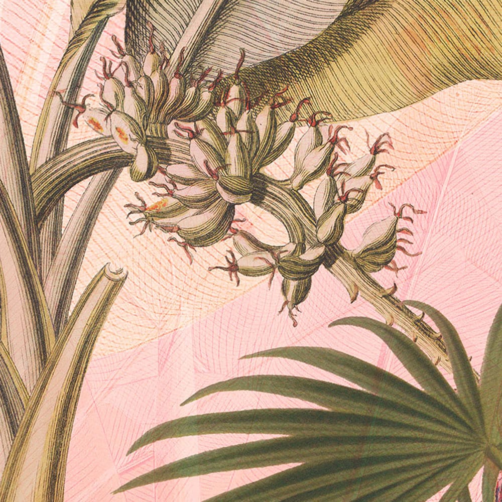 Komar Fototapete »Dot - selbstklebende Vlies Fototapete - Botany - Grösse 125 x 125 cm« Motiv | bedruckt glatt