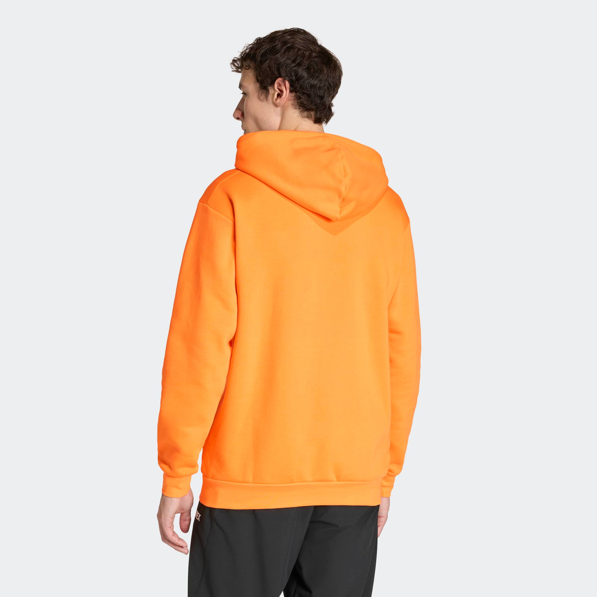 adidas TERREX Sweat à capuche »MT L LOGO HD«

