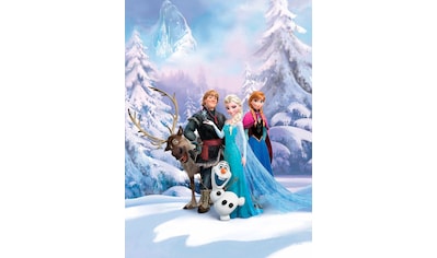 Komar Fototapete »Frozen Winter Land«, bedruckt-Comic, ausgezeichnet lichtbeständig kaufen