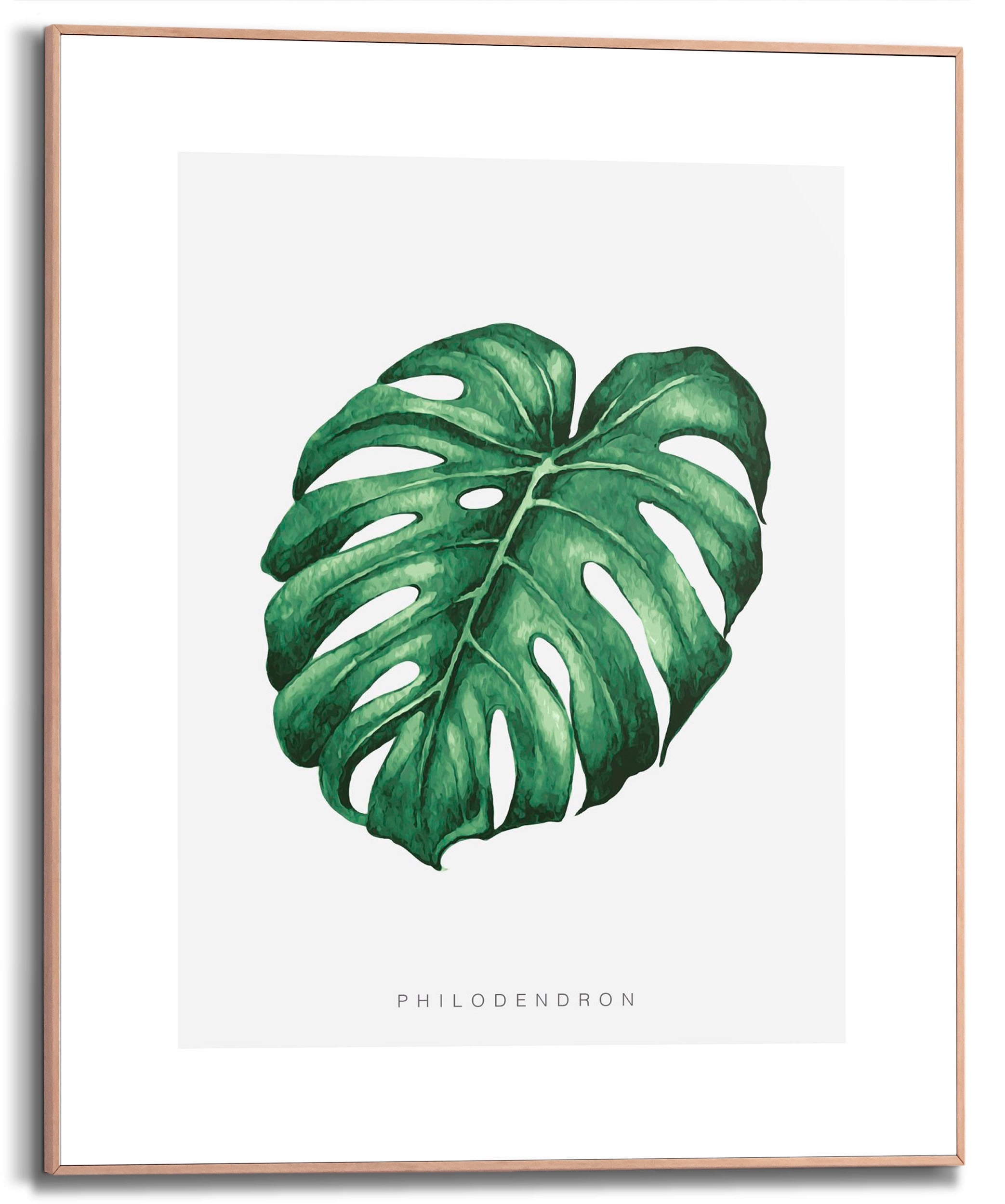 Image of Reinders! Bild mit Rahmen »Monstera Leaf«, (1 St.) bei Ackermann Versand Schweiz