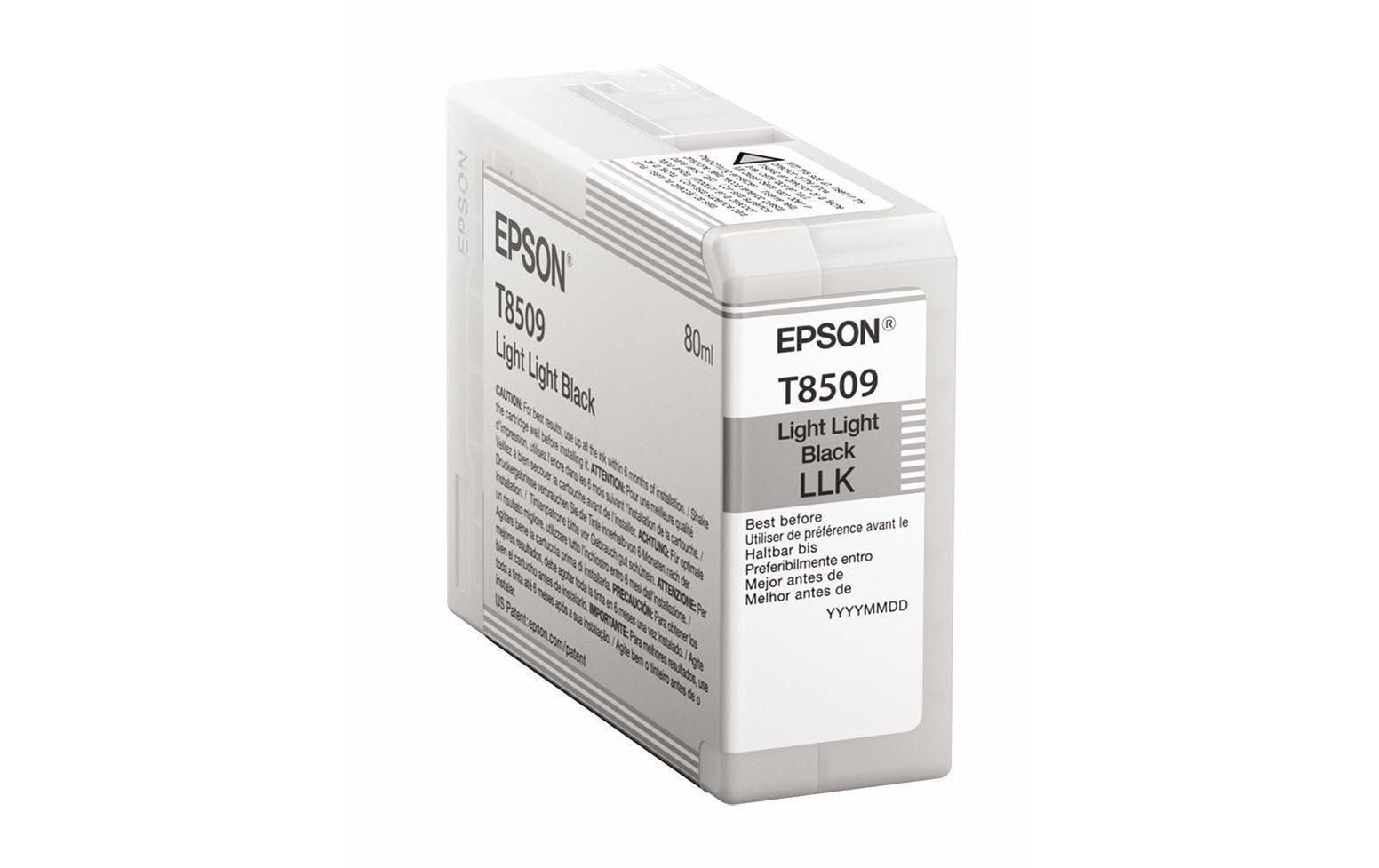 Epson Tintenpatrone »C13T850900«, (1 St.)