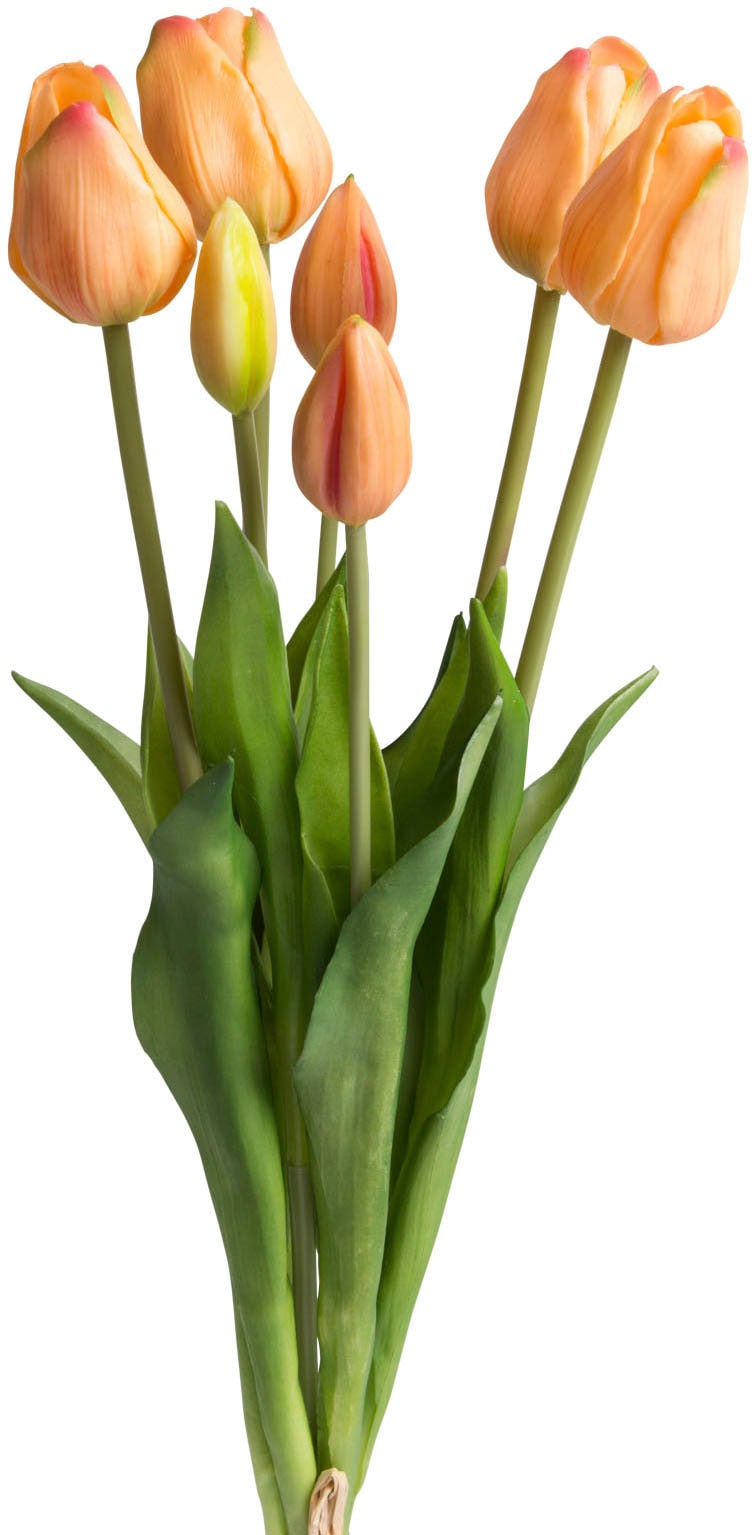 kaufen Kunstblume günstig real Touch« Botanic-Haus »Tulpenbündel