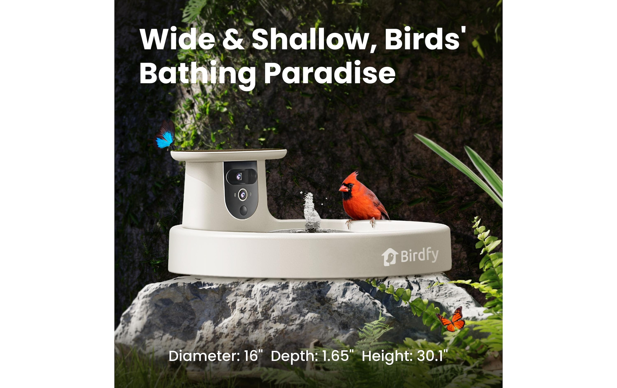 Birdfy Vogeltränke »Vogelbad mit Kamera« Solarbetrieben, KI und Video Vogelerkennung