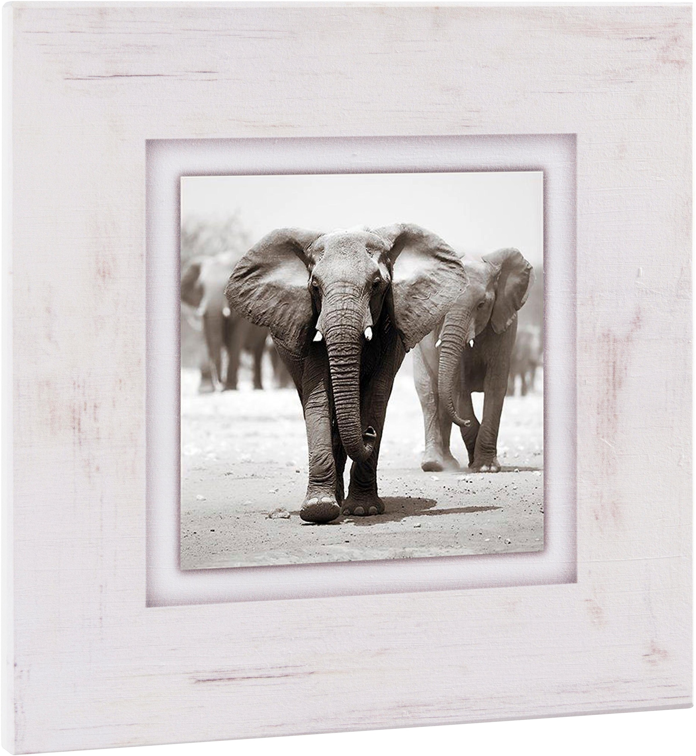 Image of Home affaire Holzbild »Elefanten«, 40/40 cm bei Ackermann Versand Schweiz
