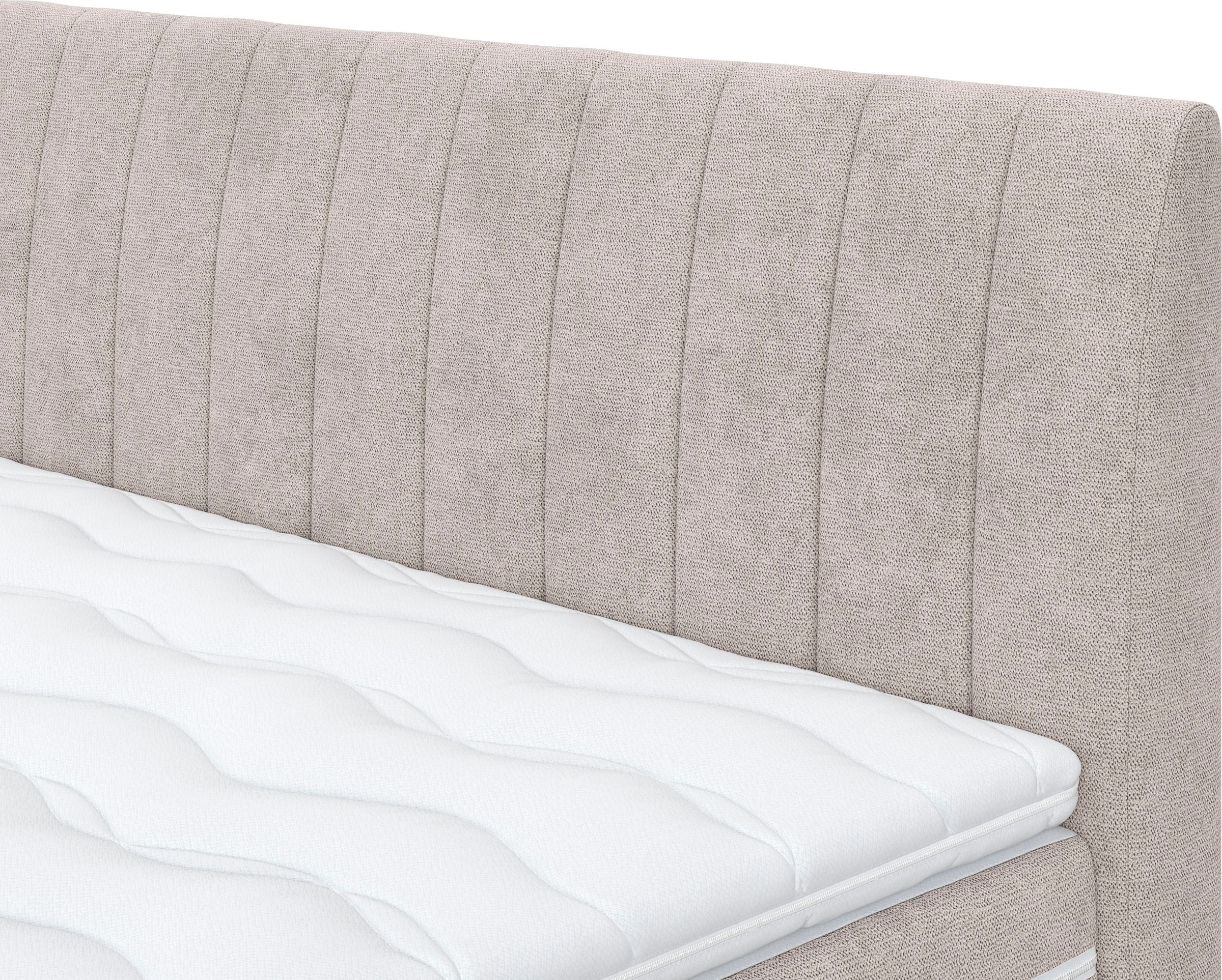 COTTA Boxspringbett »Shark inkl. Bettkasten und Topper« erhältlich in den Breiten 140x200cm, 160x200cm und 180x200cm