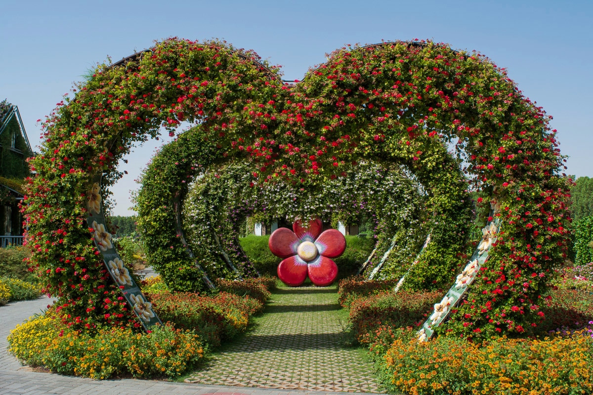 Image of Papermoon Fototapete "BLUMEN GARTEN-NATUR ROSEN BLUME PFLANZEN BÄUME DEKO XXL"