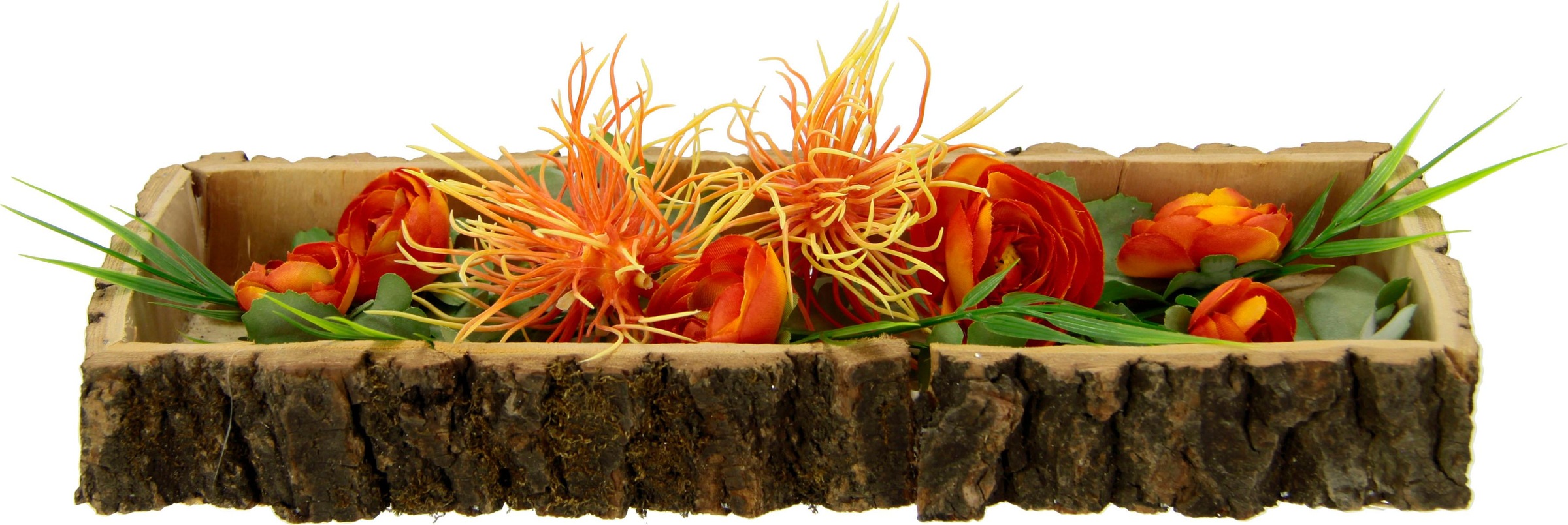 Image of I.GE.A. Dekoobjekt, Spinnenprotea bei Ackermann Versand Schweiz