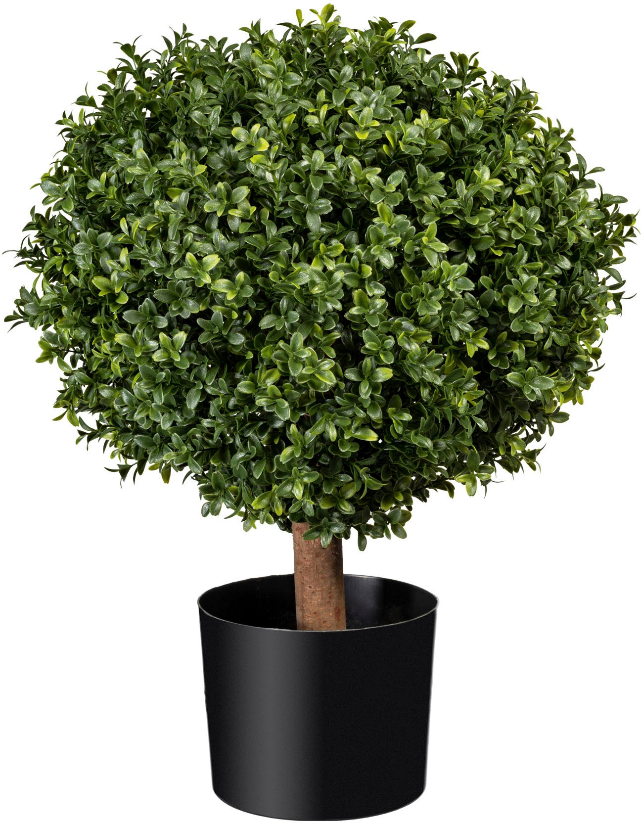 Image of Creativ green Kunstbaum »Buchsbaumkugel«, (1 St.) bei Ackermann Versand Schweiz