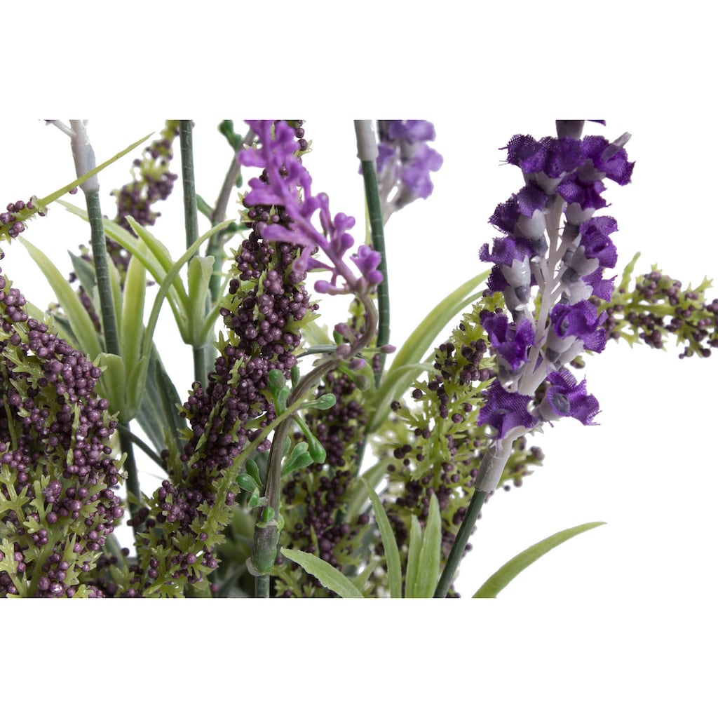 Botanic-Haus Künstliche Zimmerpflanze »Lavendel - Erika Arrangement im Korb«