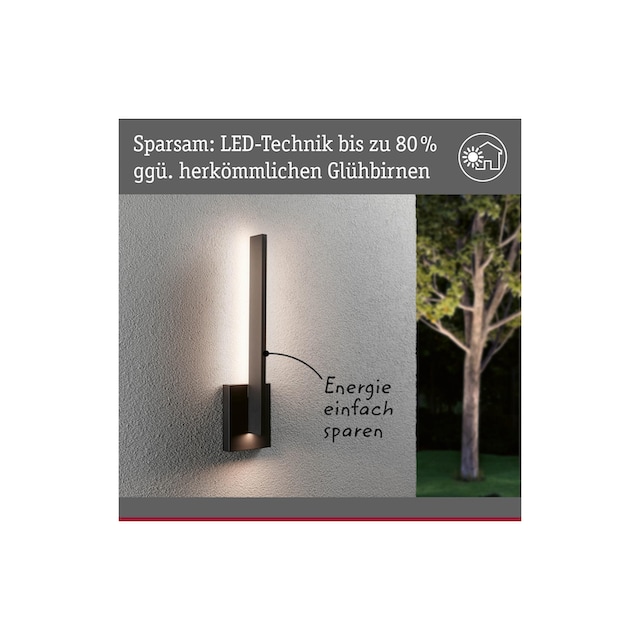 Paulmann LED Wandleuchte »Levka 3000K« bequem kaufen