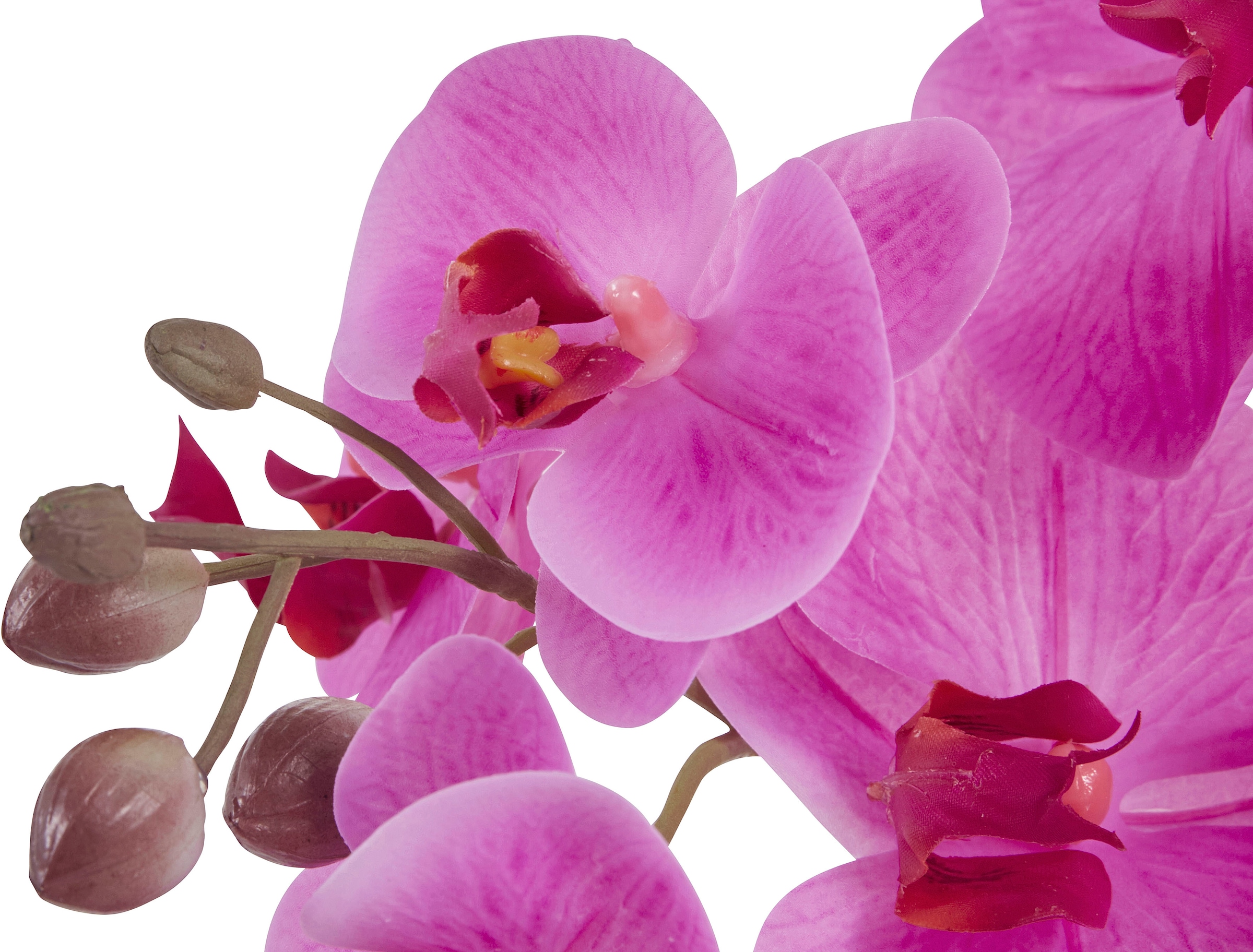 Leonique Kunstpflanze »Orchidee«, Kunstorchidee, im Topf, Bestseller, über 2500 4,5-Sterne-Bewertungen