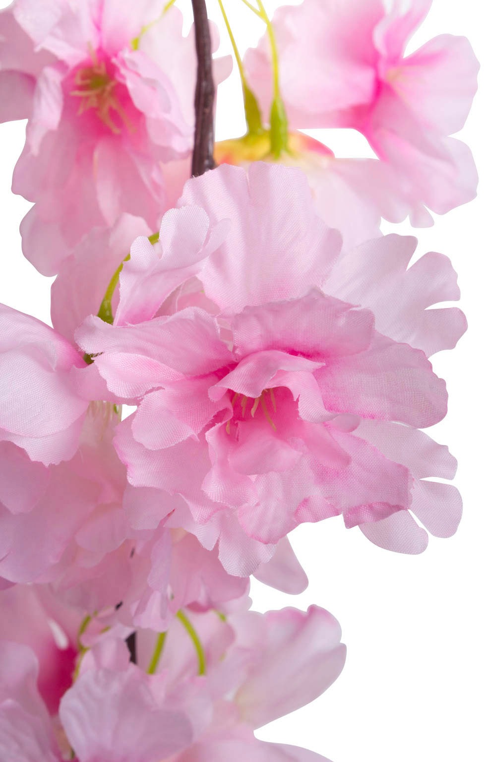 kaufen Kunstblume Botanic-Haus »Kirschblütengirlande« günstig