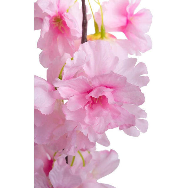 Botanic-Haus Kunstblume »Kirschblütengirlande« günstig kaufen