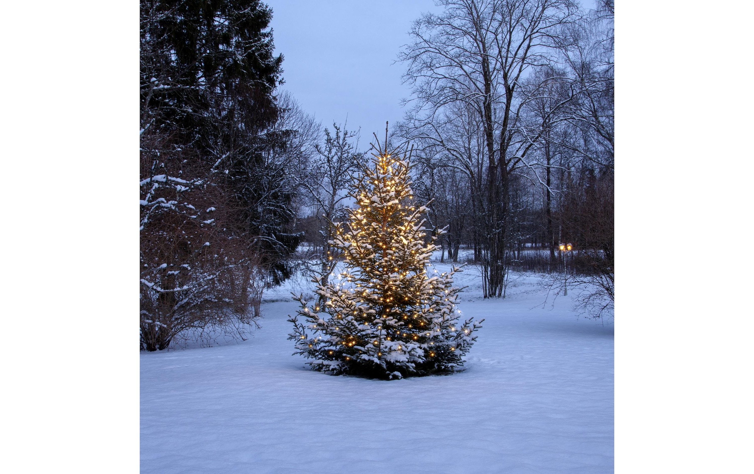   Guirlande lumineuse LED »Christmas Tree Light Shiny IP44, Warmweiss, 360 LED's«