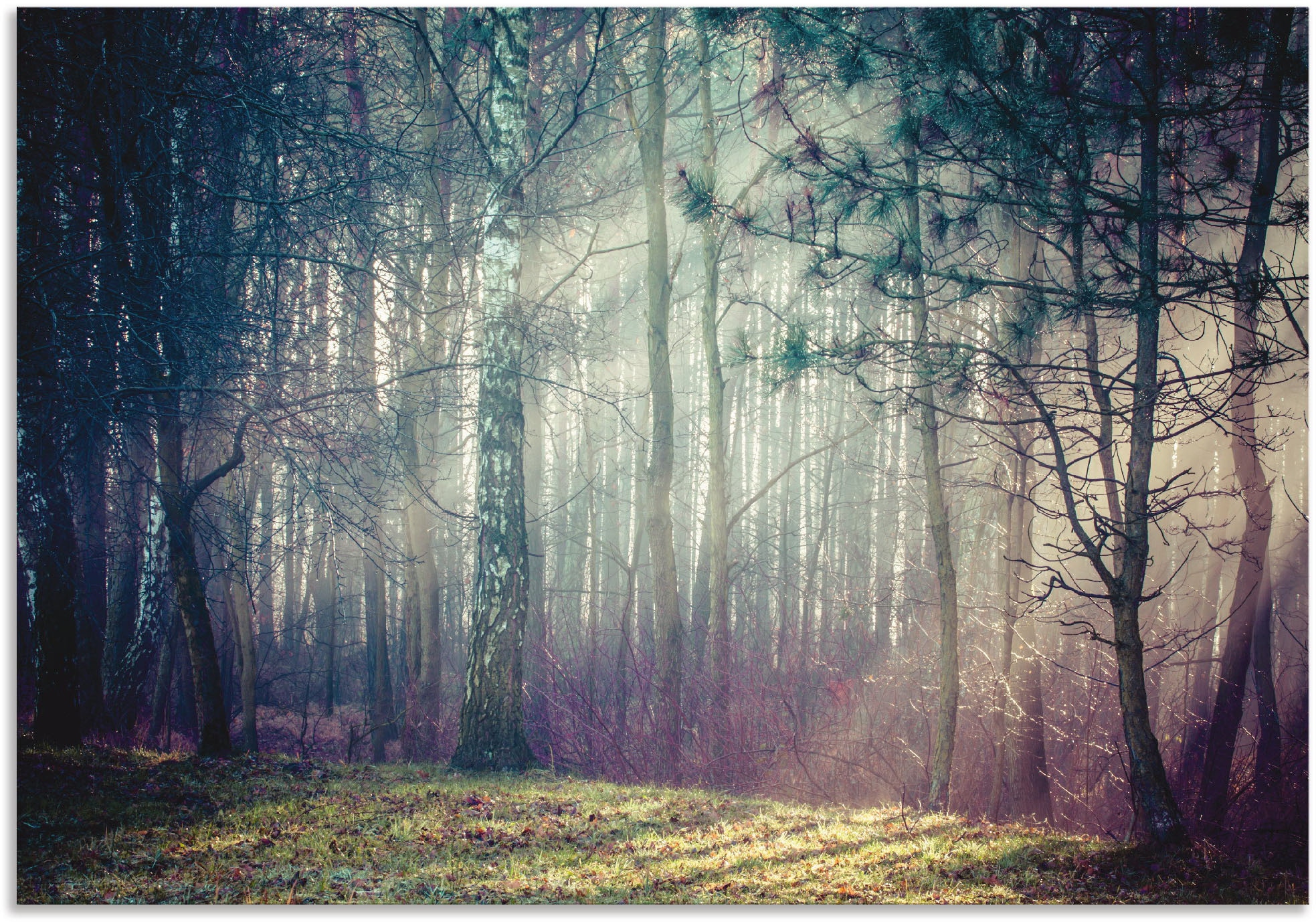 Image of Artland Alu-Dibond-Druck "Sonnenstrahlen im Wald" Waldbilder 1 Stk. tlg. für Innen- und Aussenbereich geeignet, Outdoorbild