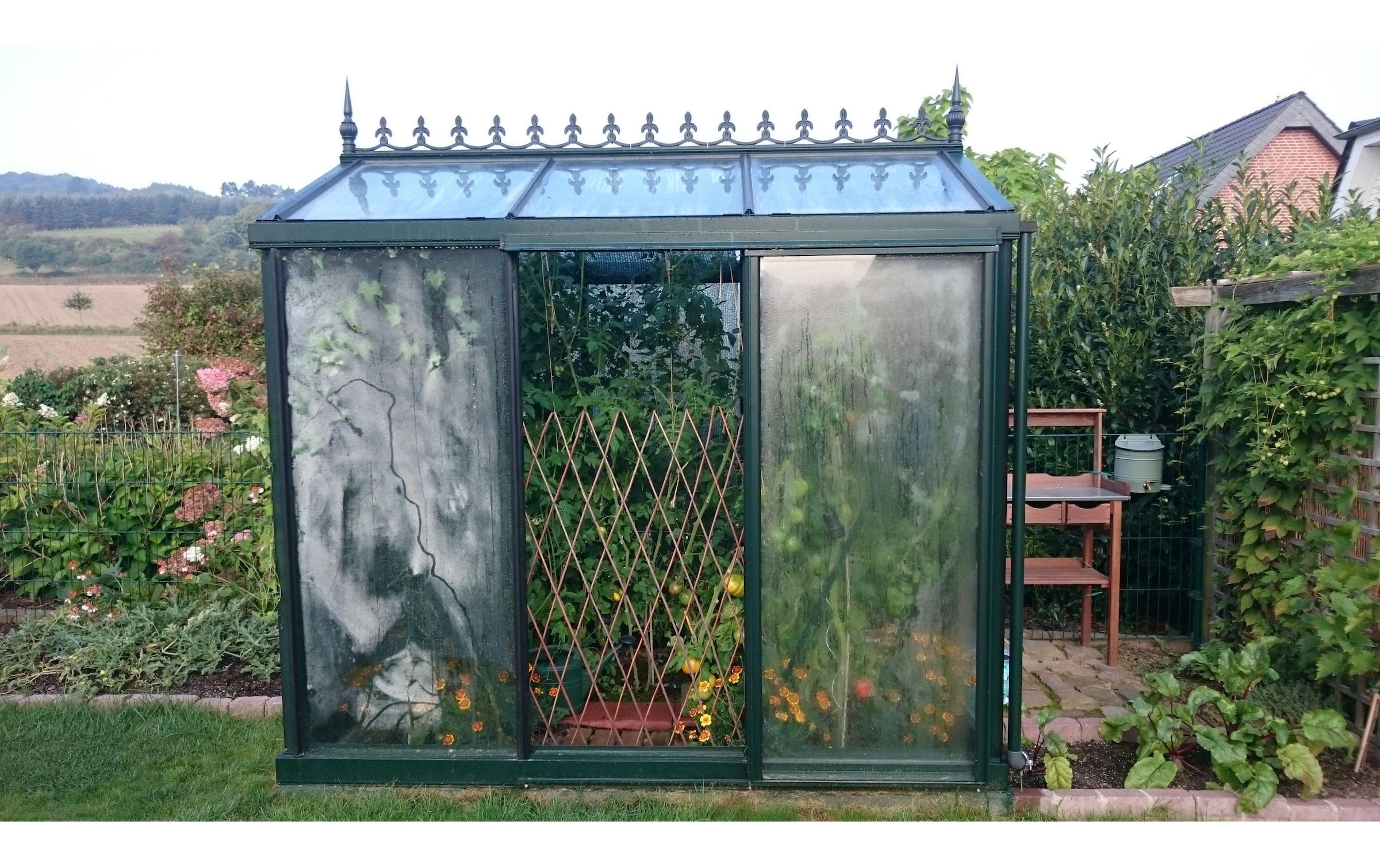Gewächshaus »Colibri Helios Urban Victorian 180/25°«