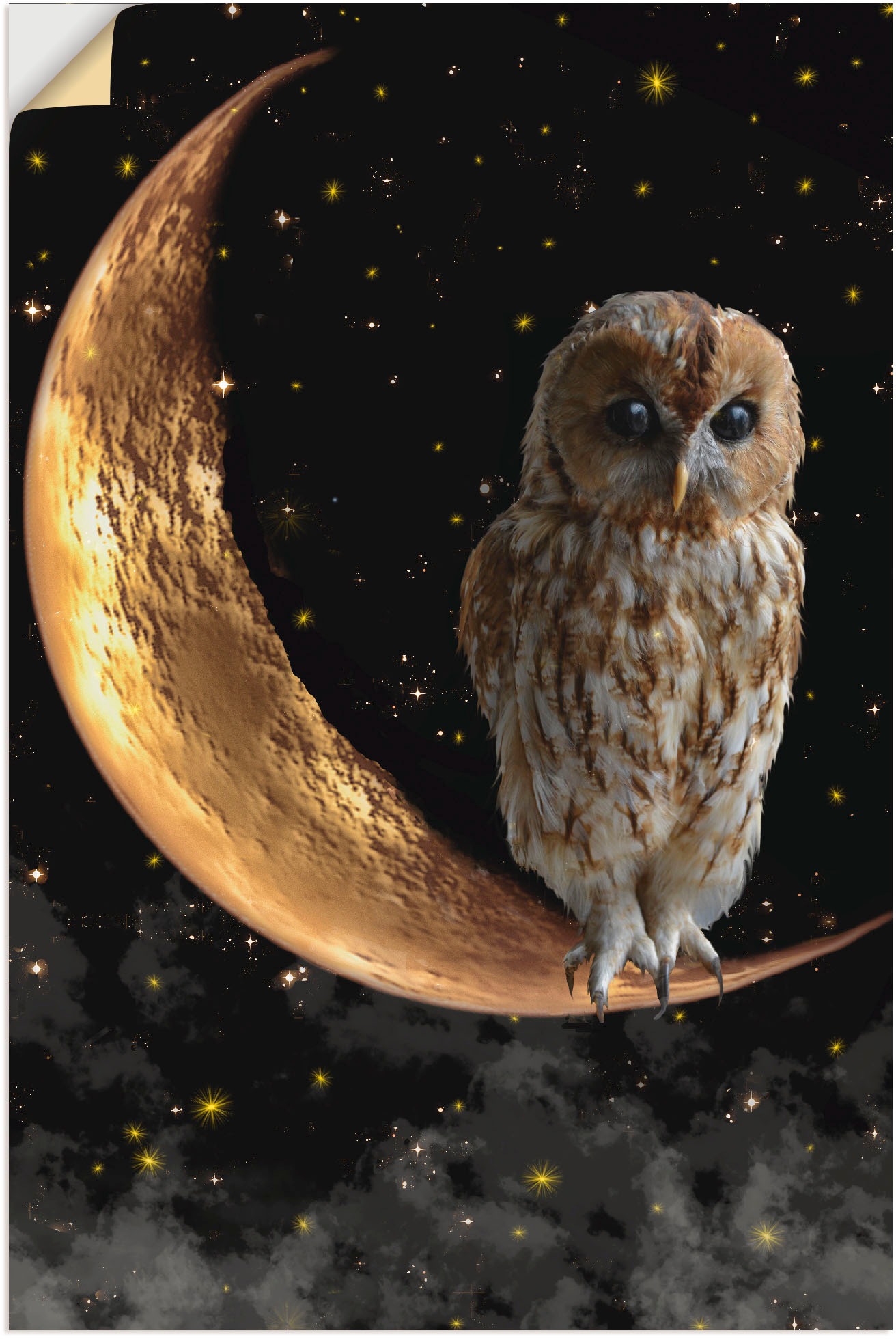 Image of Artland Wandbild »Nachteule«, Vögel, (1 St.), in vielen Grössen & Produktarten - Alubild / Outdoorbild für den Aussenbereich, Leinwandbild, Poster, Wandaufkleber / Wandtattoo auch für Badezimmer geeignet bei Ackermann Versand Schweiz