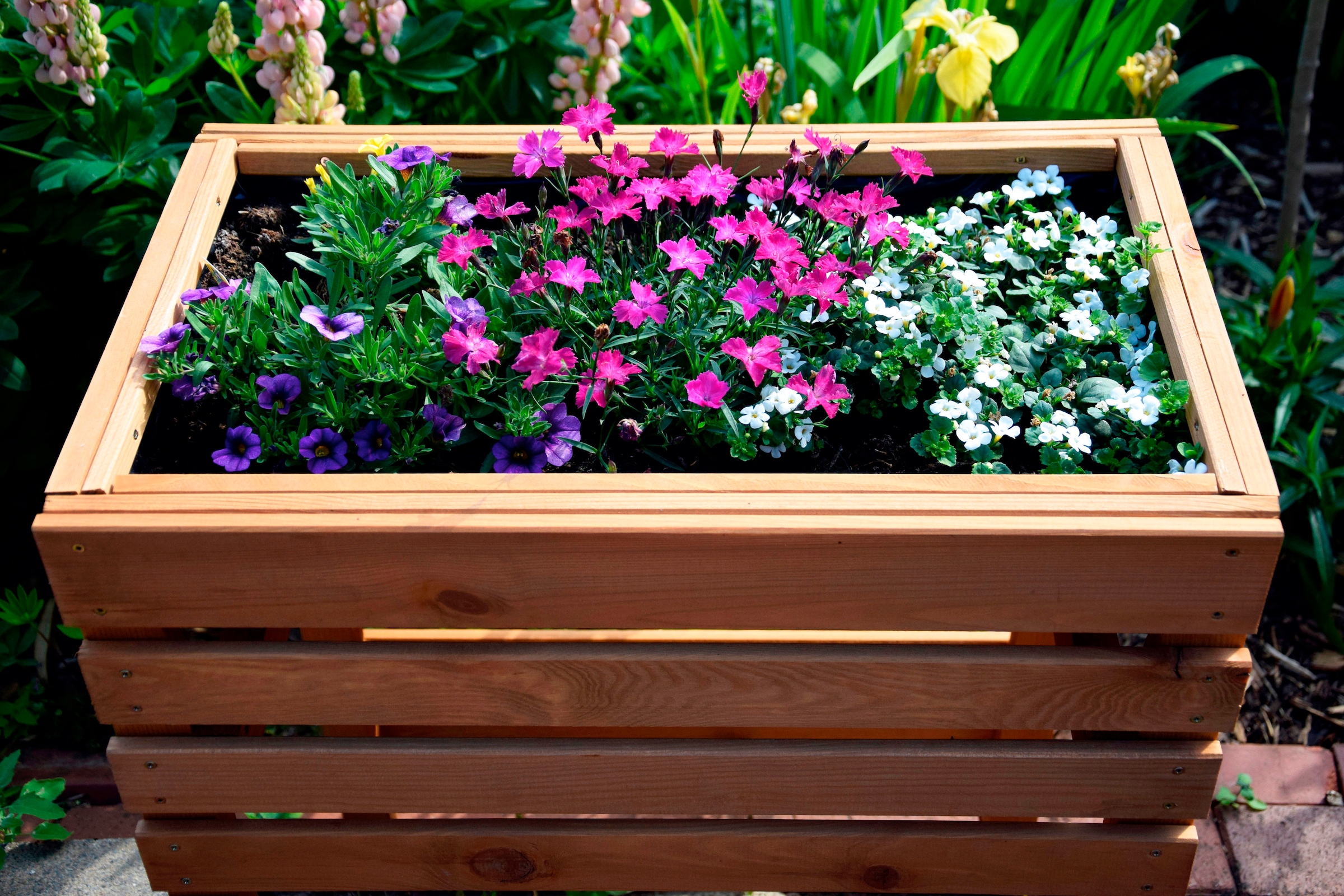 dobar Hochbeet »Gr. M« BxTxH: 58x36x71 cm