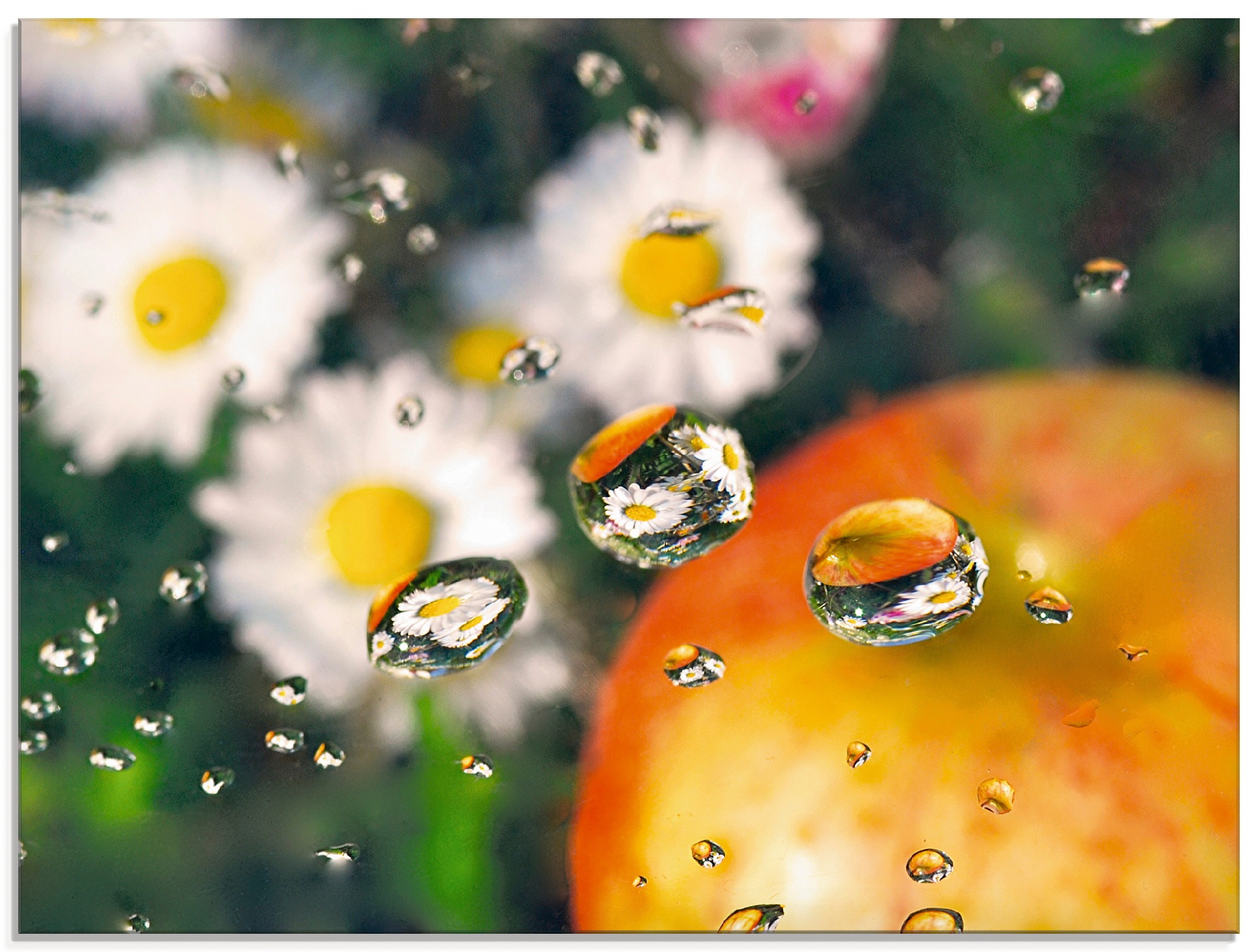 Image of Artland Glasbild »Tropfen Spiegelung«, Blumen, (1 St.) bei Ackermann Versand Schweiz