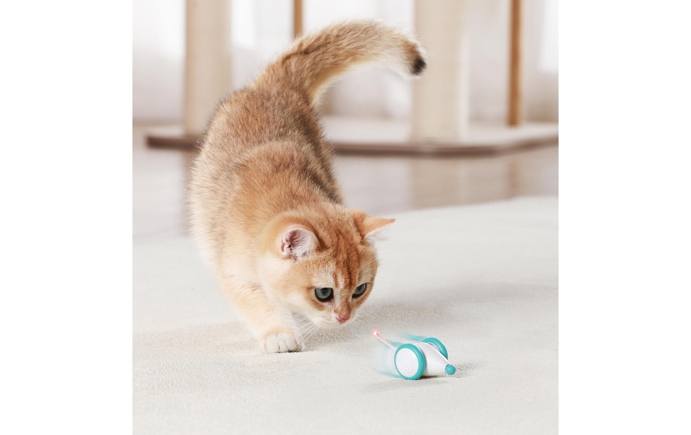 Tier-Intelligenzspielzeug »Pixie Mouse«, Kunststoff