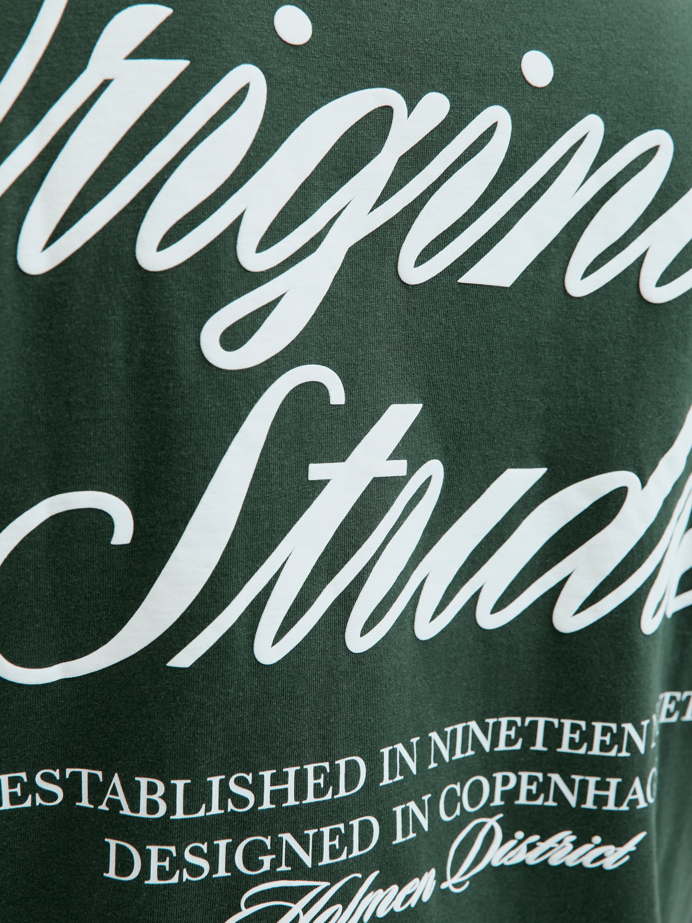 Jack & Jones PlusSize Kurzarmshirt »JORNORREBRO TYPO TEE SS CREW NECK  PLS«, mit Schriftzug
