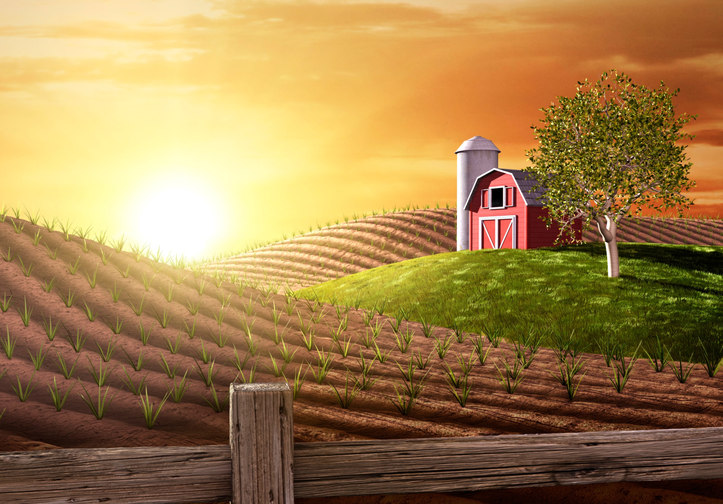 Image of Papermoon Fototapete "Morning on the Farm" glatt