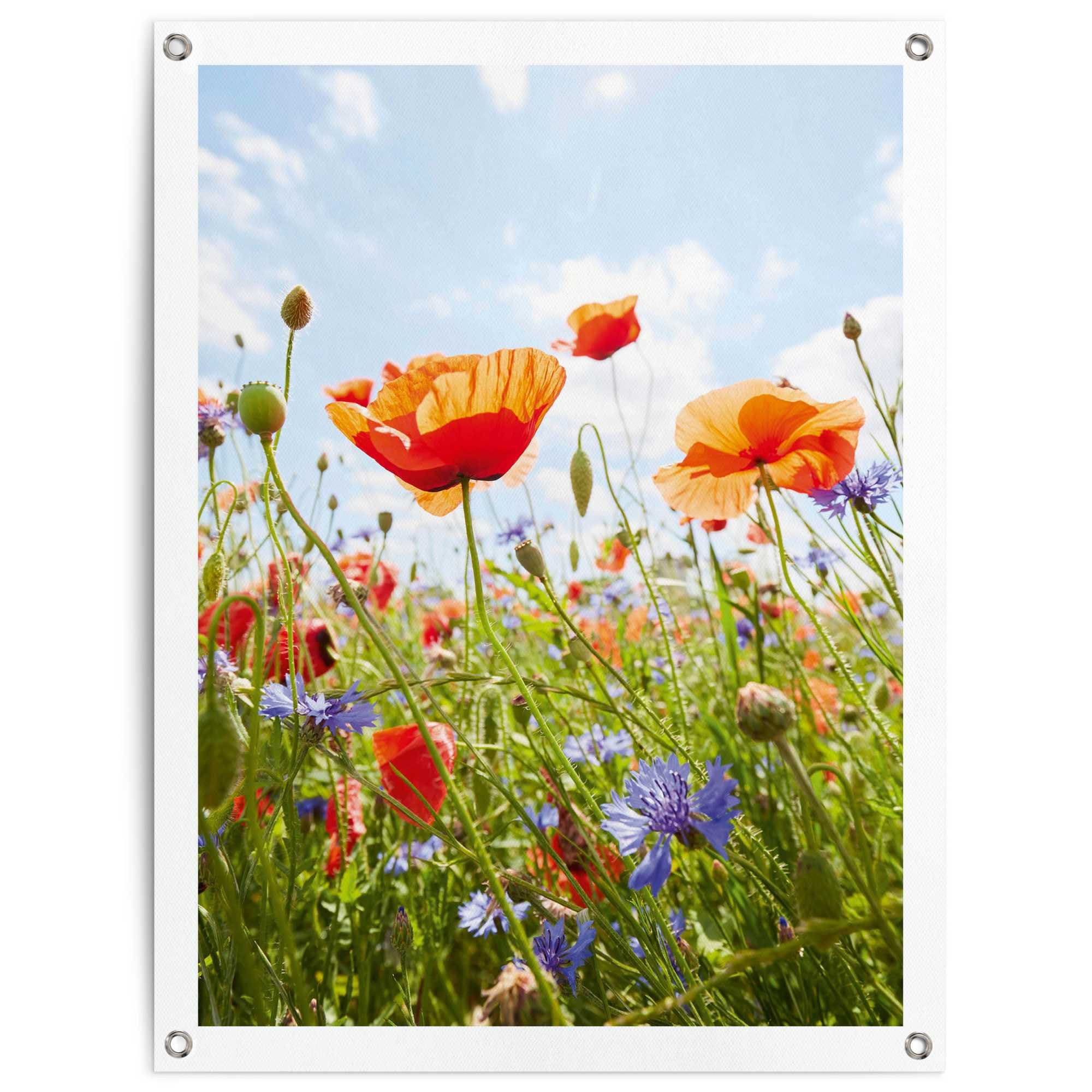Image of Reinders Poster "Blumenfeld" Outdoor für Garten oder Balkon
