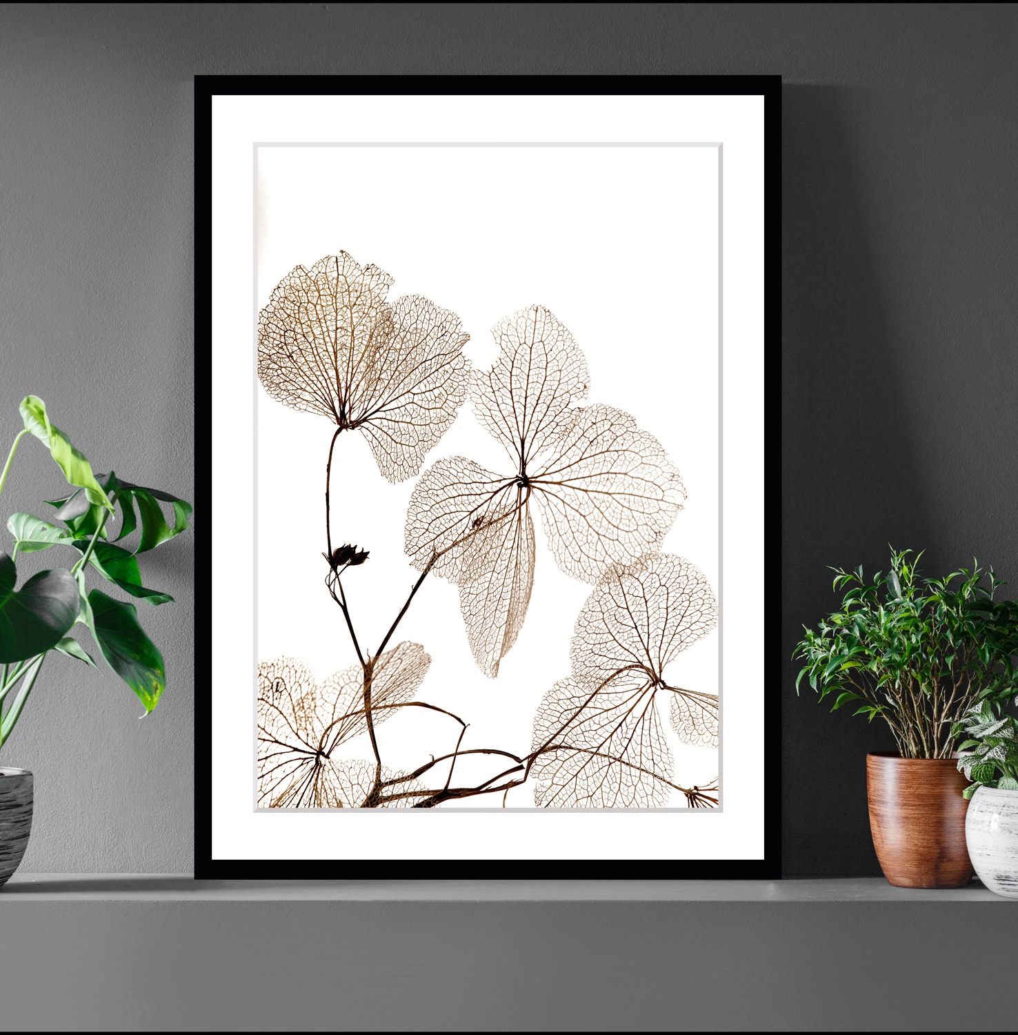 Image of queence Bild "Ina" Blumen Pflanzen Pflanzenbilder Blumen, gerahmt