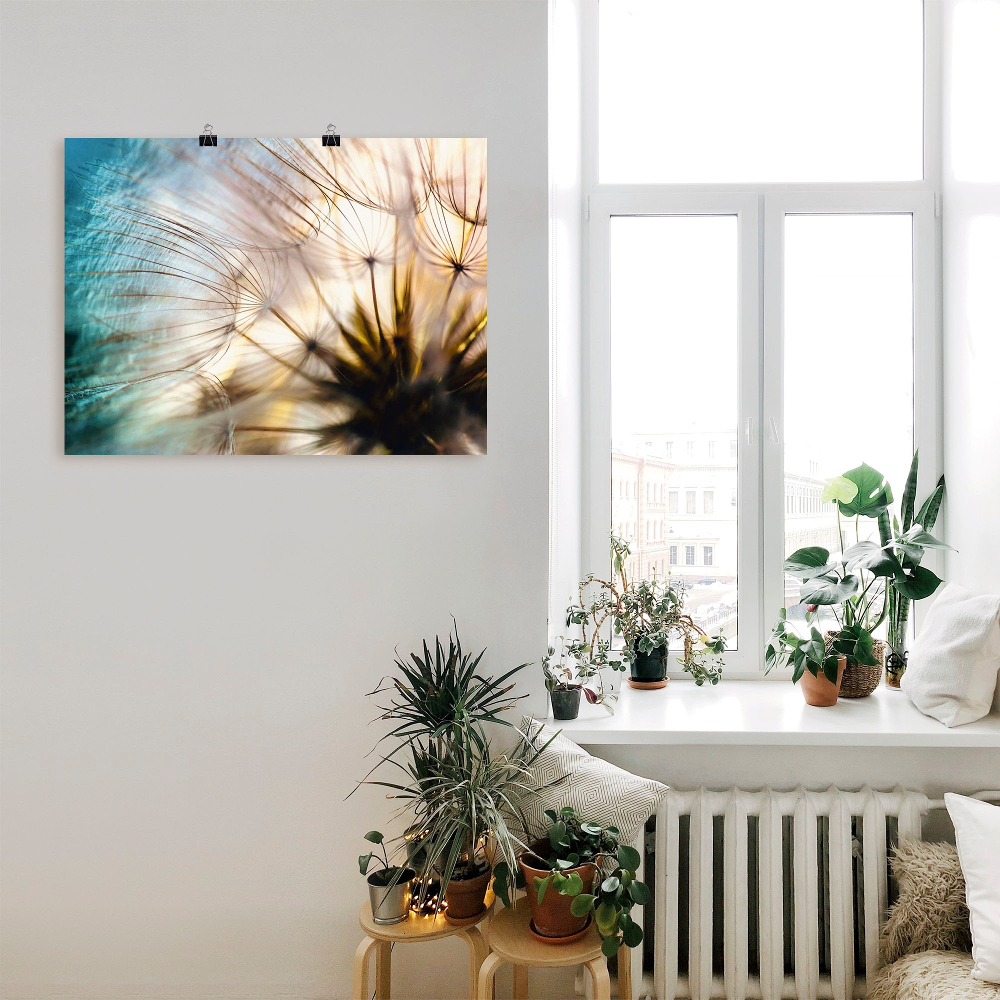 Artland Wandbild »Pusteblume Makro abstrakt«, Blumen, (1 St.), als Alubild, Outdoorbild, Leinwandbild, Poster, Wandaufkleber