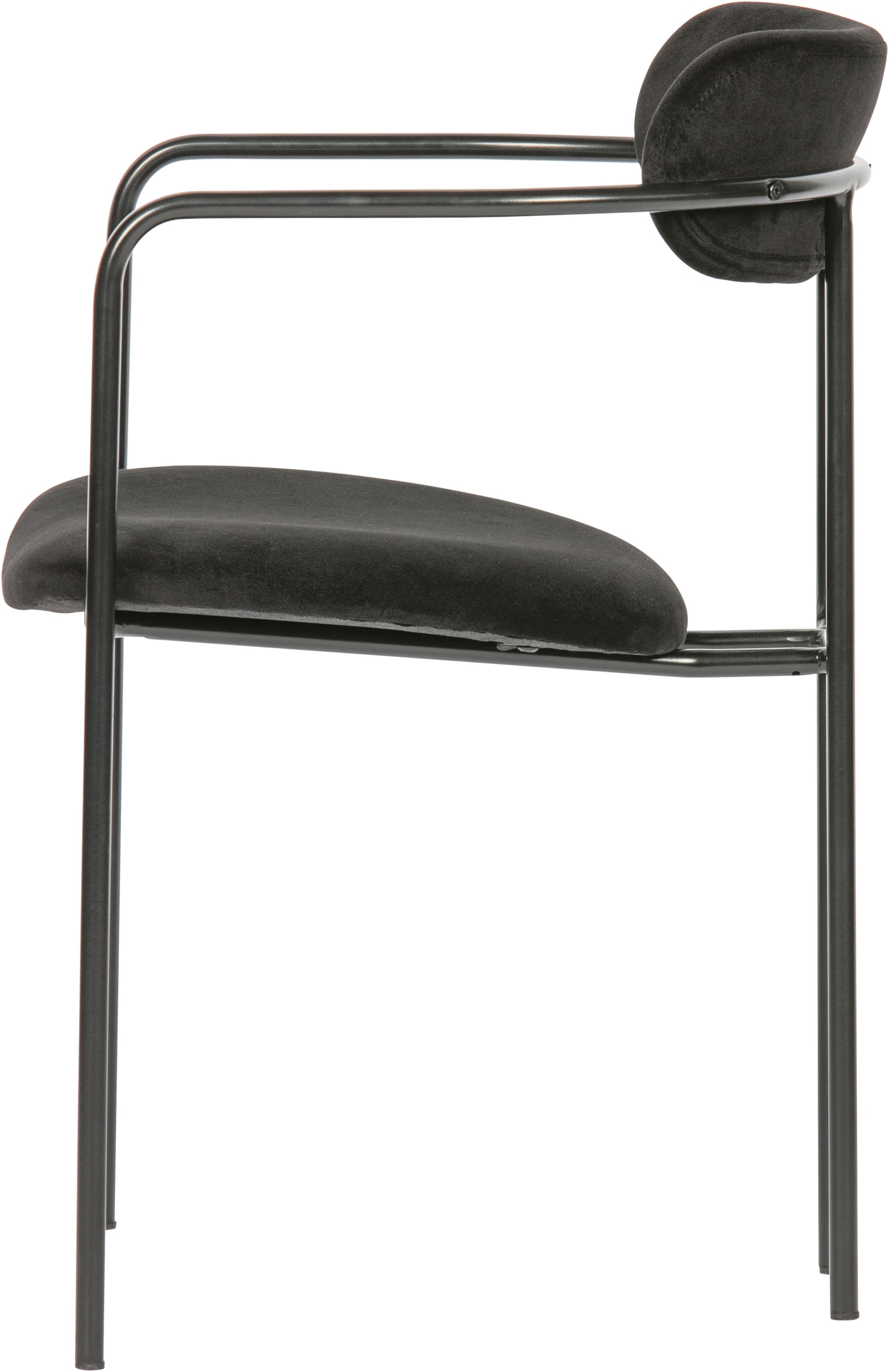 WOOOD Esszimmerstuhl »Ivy stapelbar mit Velvet-Bezug und Eisengestell B 55 x T 54 x H 76 cm« (Set) 2 Stk.Tragkraft 150 kg, Eisengestell, Pfleiglicht