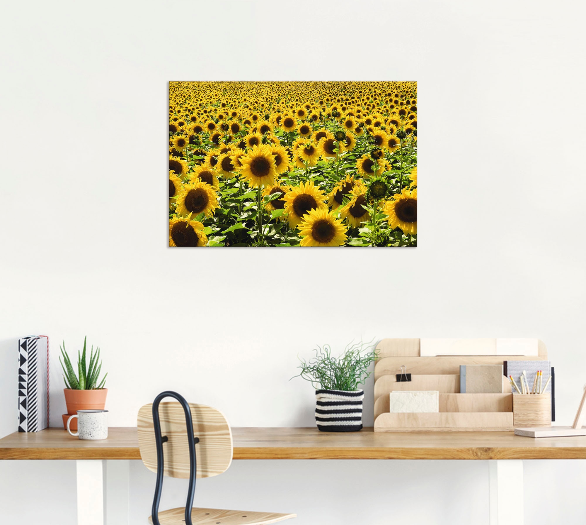 Artland Wandbild »Sonnenblumenfeld« Blumen 1 Stk. tlg. als Alubild, Leinwandbild in verschied. Grössen