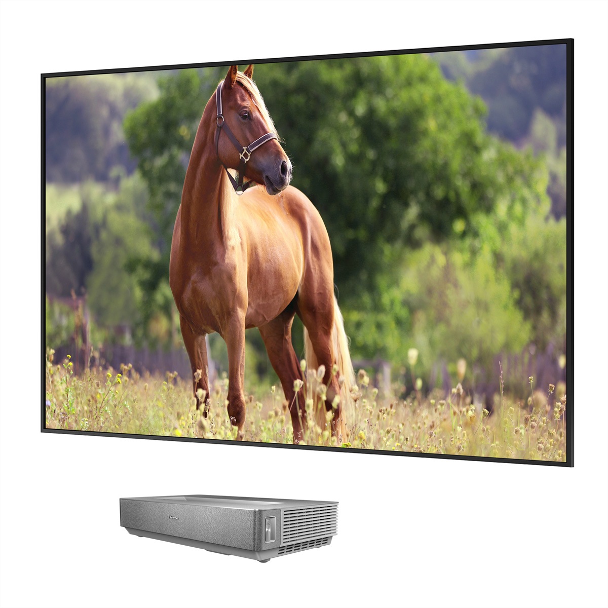 Hisense Beamer »Hisense Laser TV 100L5HD 100", UHD, 2600 Lumen, inkl. Leinwand«
