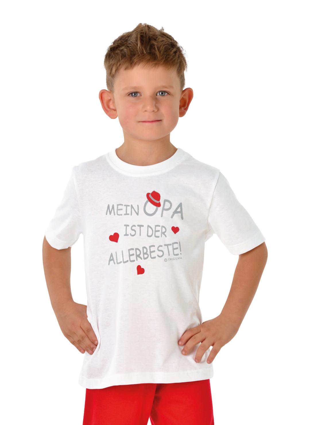 Image of Trigema T-Shirt, Opas Liebling bei Ackermann Versand Schweiz